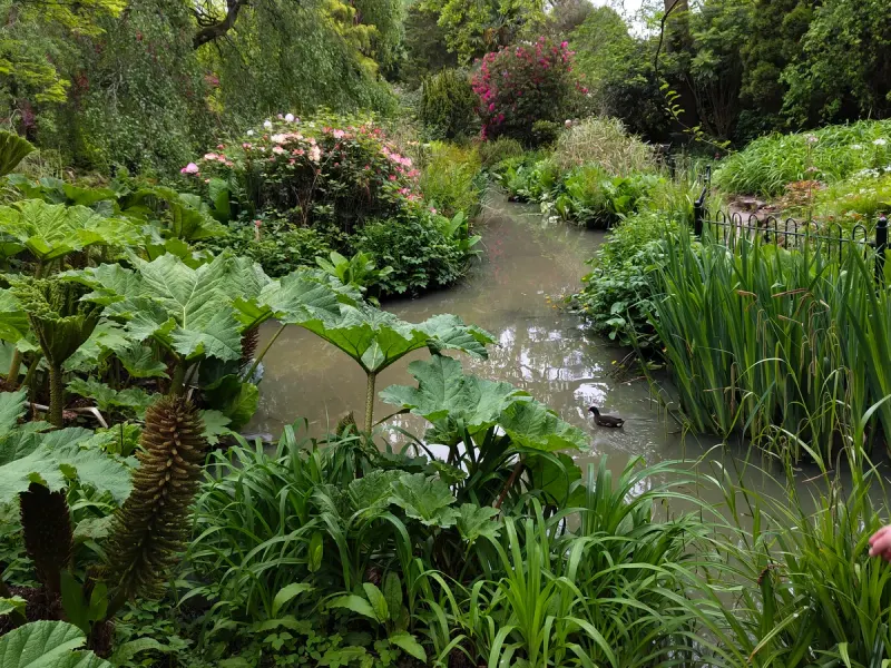 Fletcher Moss Botanical Gardens