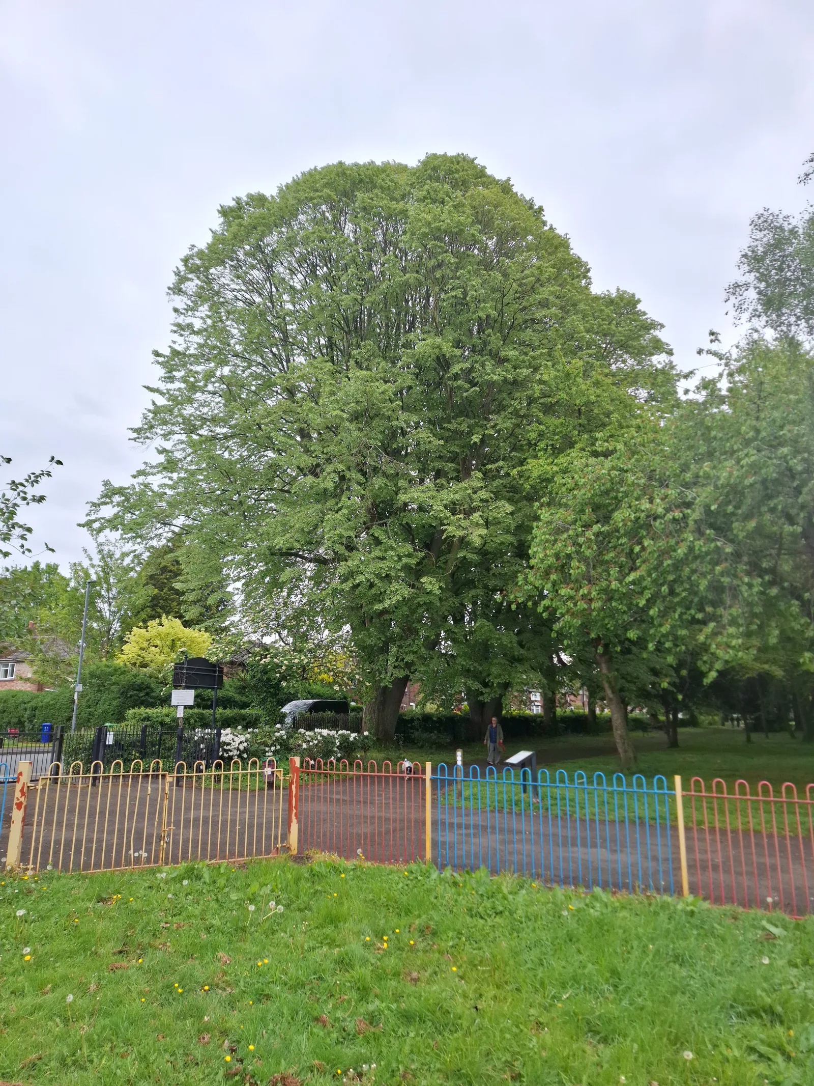 Atmosphere at Fog Lane Park Manchester — travel photo