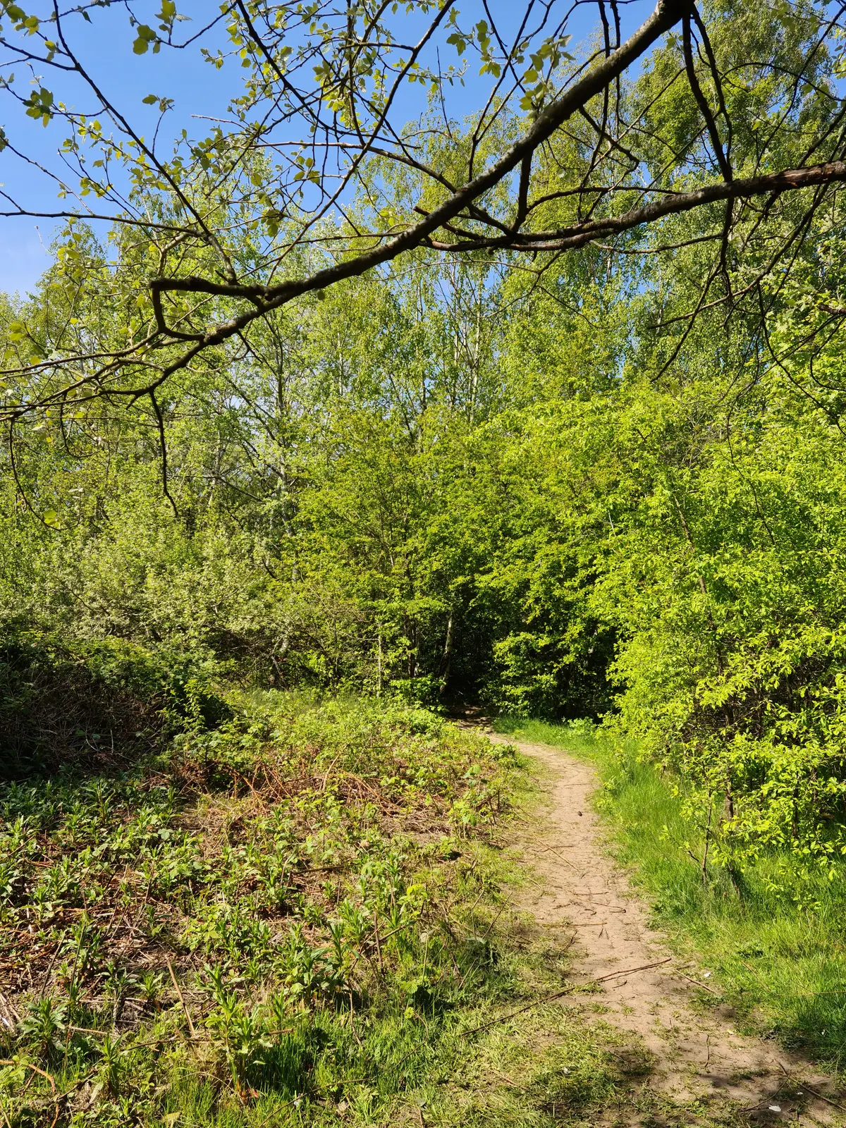 Highfield Country Park — budget guide Manchester