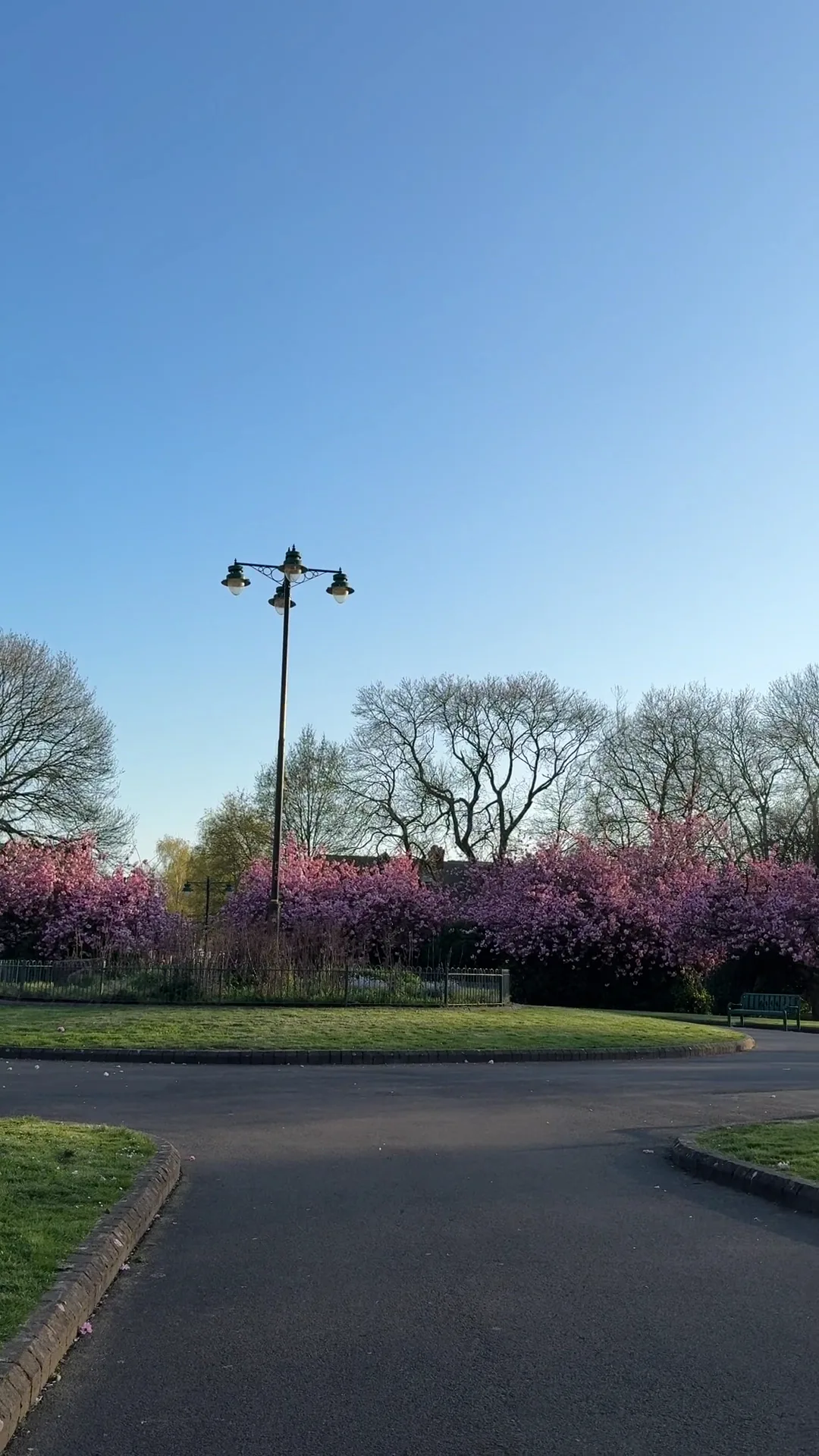 Main view at Hullard Park Manchester — travel photo