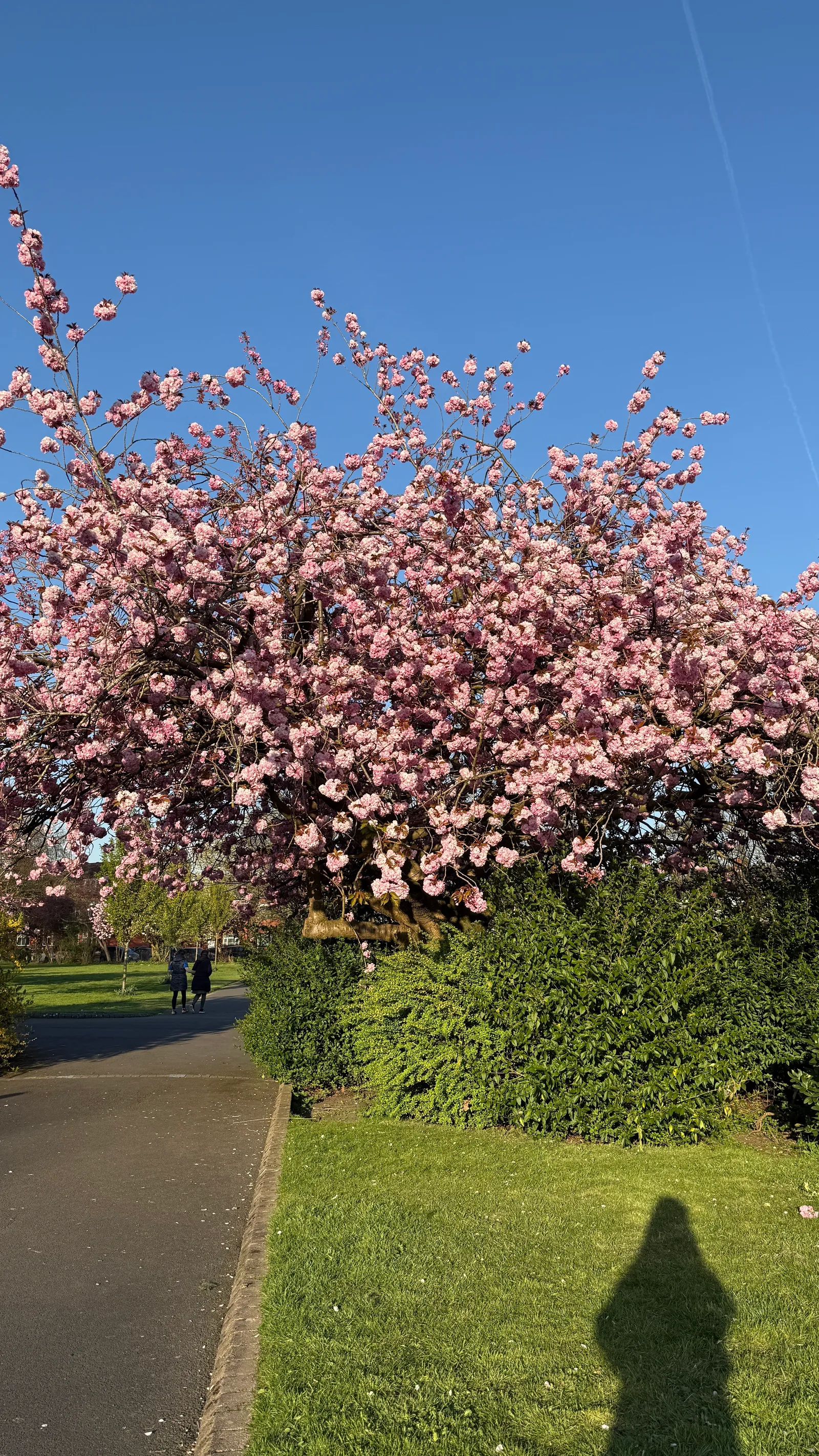 Interior at Hullard Park Manchester — travel photo