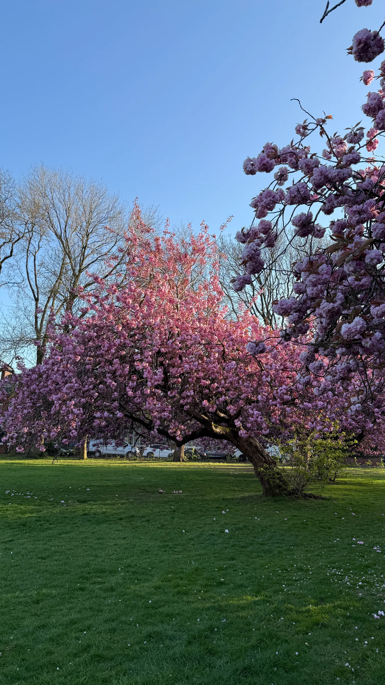 Details at Hullard Park Manchester — travel photo
