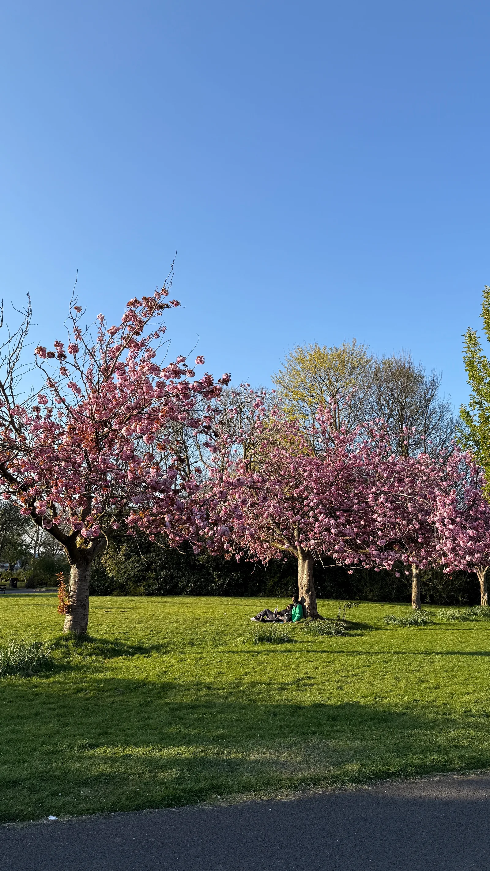 Atmosphere at Hullard Park Manchester — travel photo