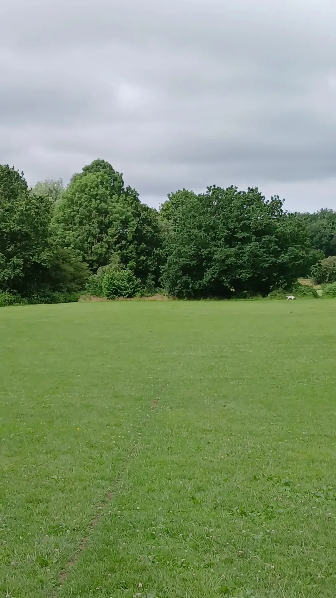 Main view at Ivy Green Manchester — travel photo