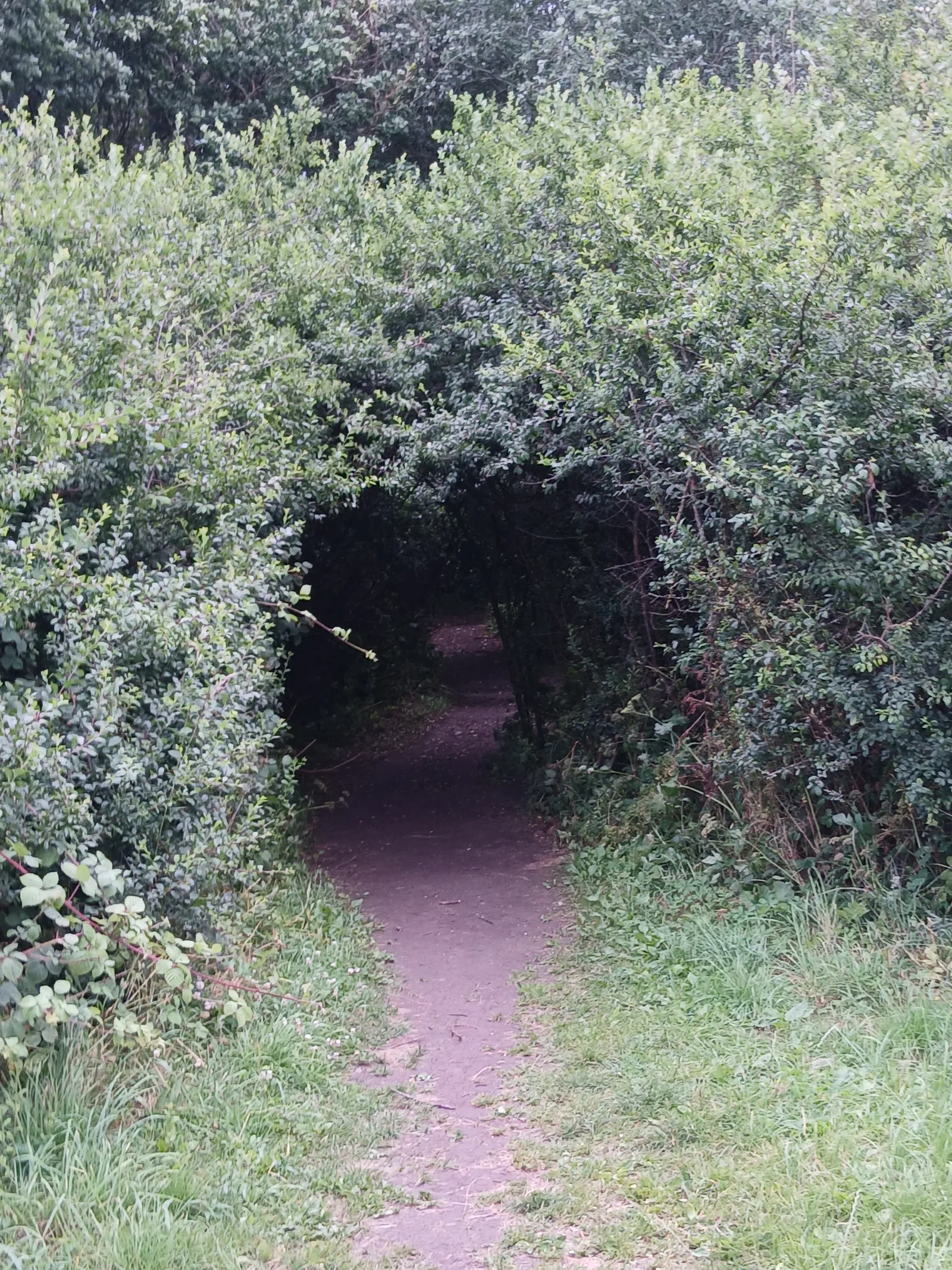 Atmosphere at Ivy Green Manchester — travel photo