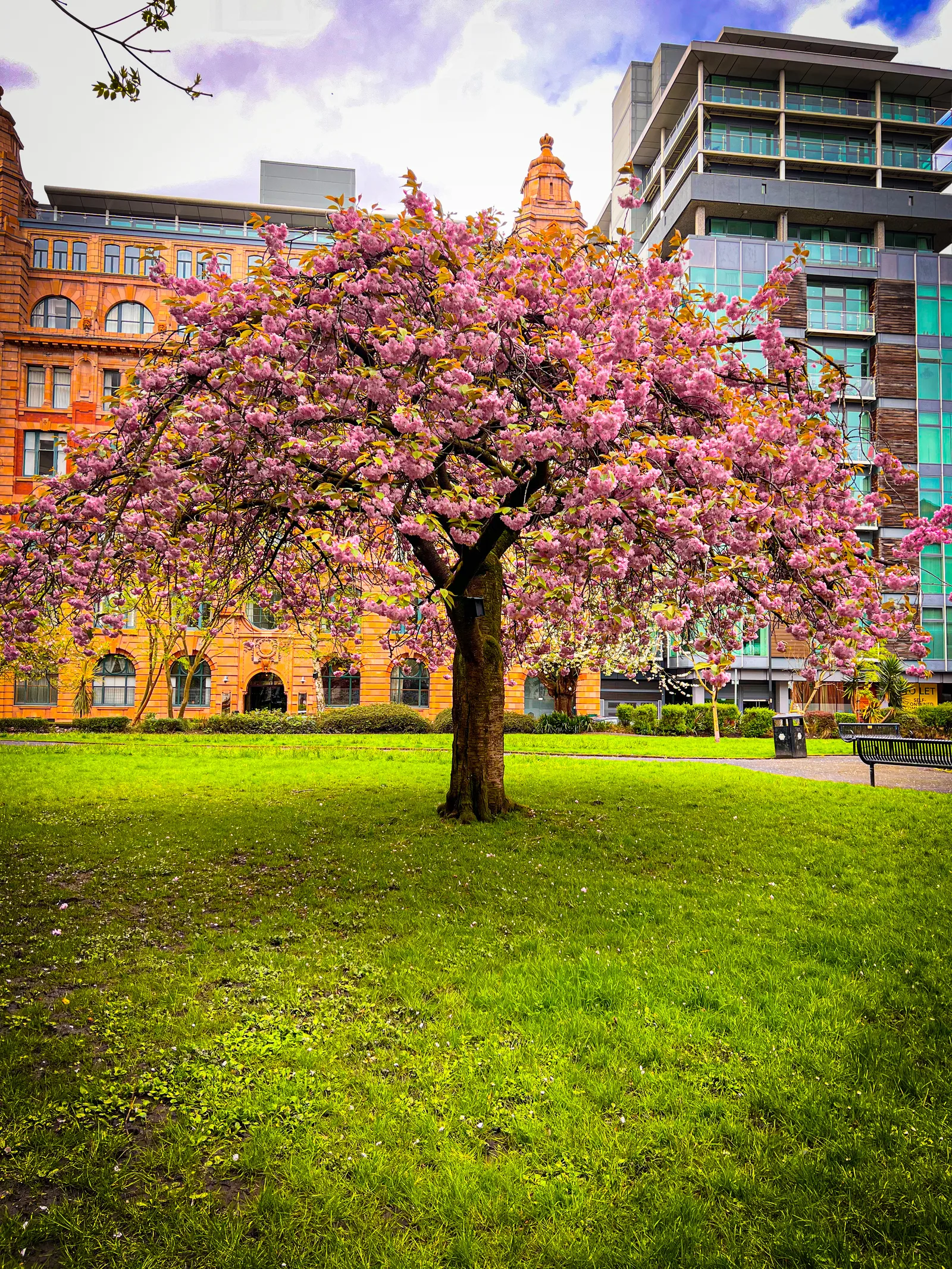 Interior at Parsonage Gardens Manchester — travel photo