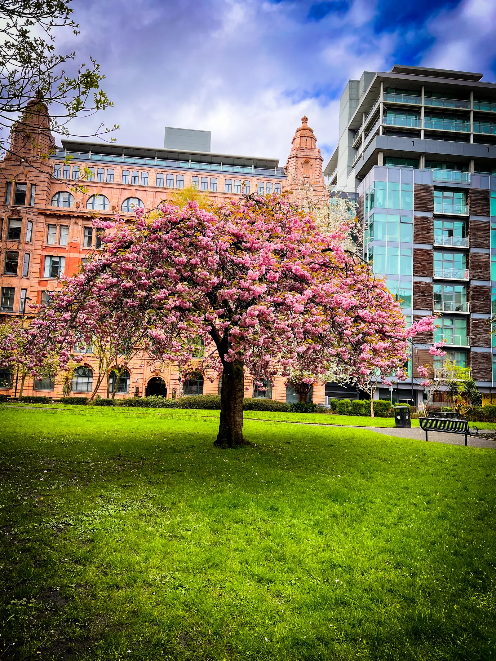 Details at Parsonage Gardens Manchester — travel photo