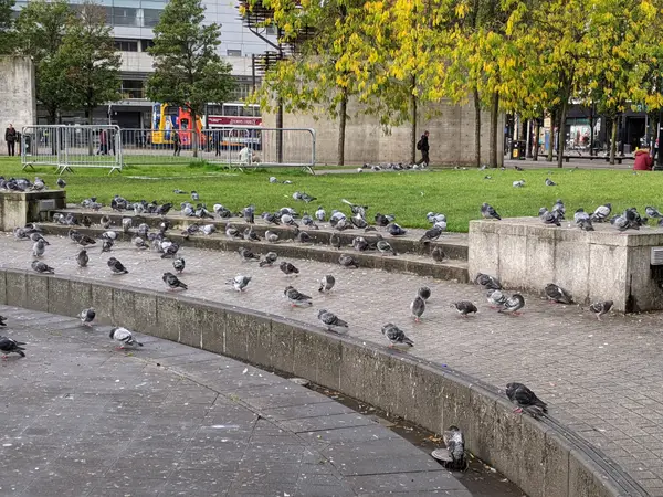 Atmosphere at Piccadilly Gardens Manchester — travel photo