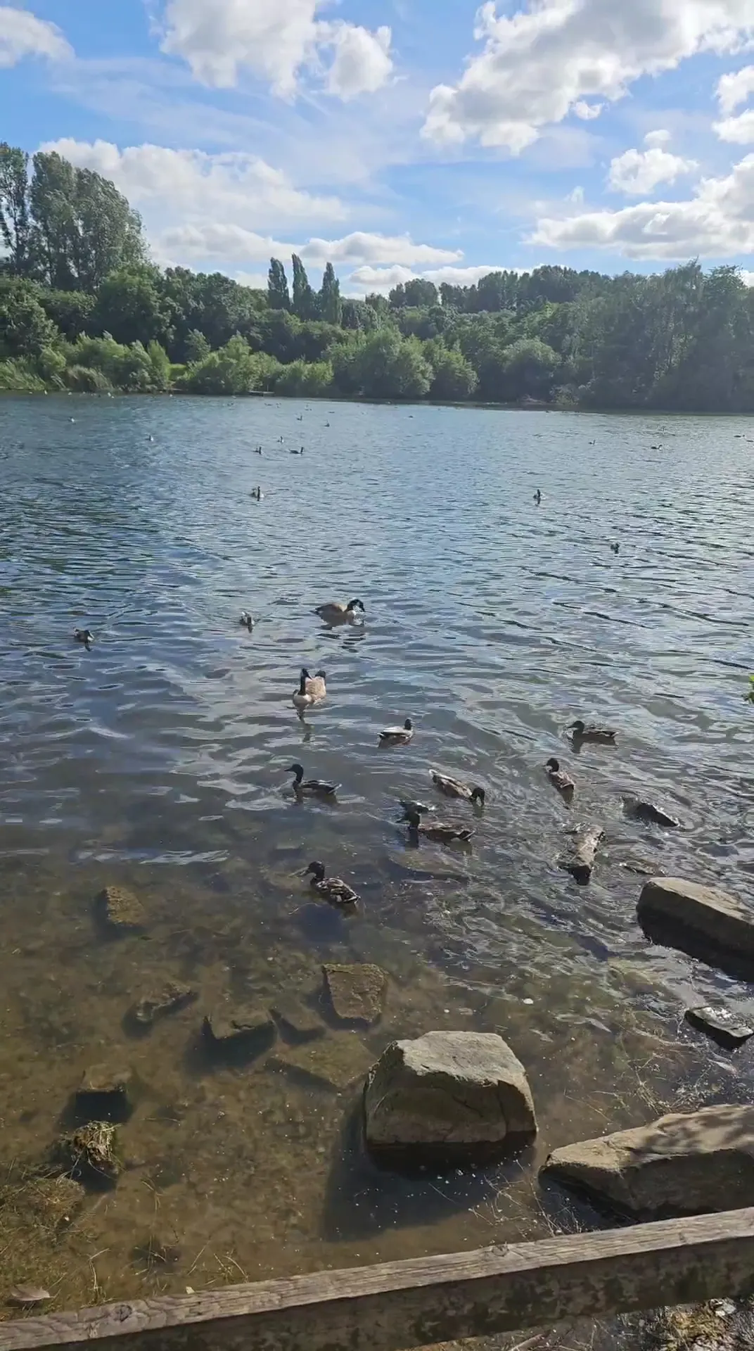 Main view at Platt Fields Park Manchester — travel photo