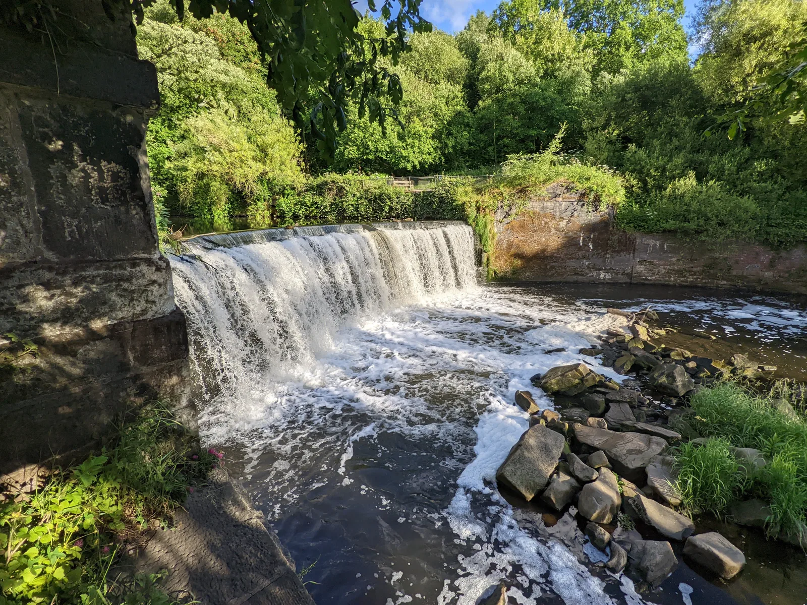 Details at Reddish Vale Country Park Manchester — travel photo
