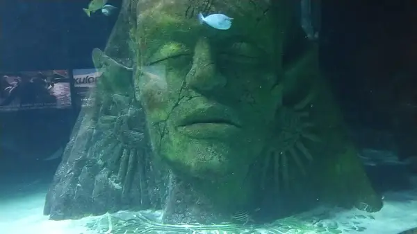 Interior at SEA LIFE Manchester Manchester — travel photo