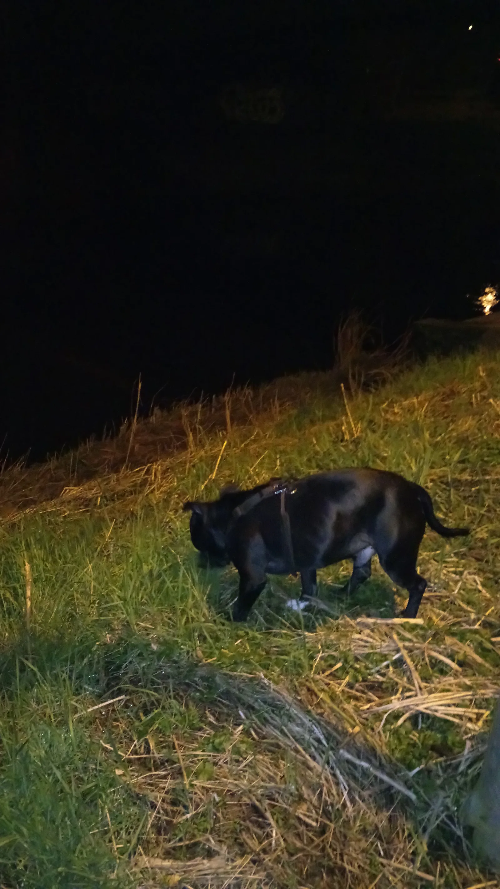 Details at Start Point Mersey Walk 2 Manchester — travel photo