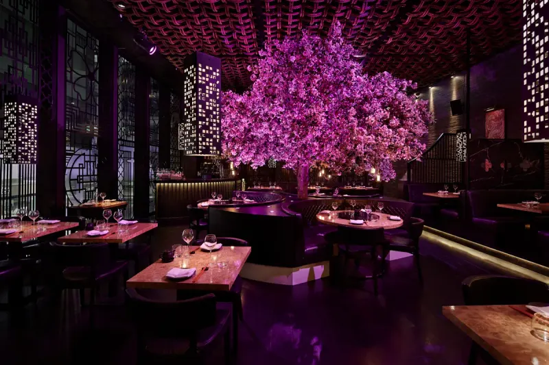 Tattu Manchester
