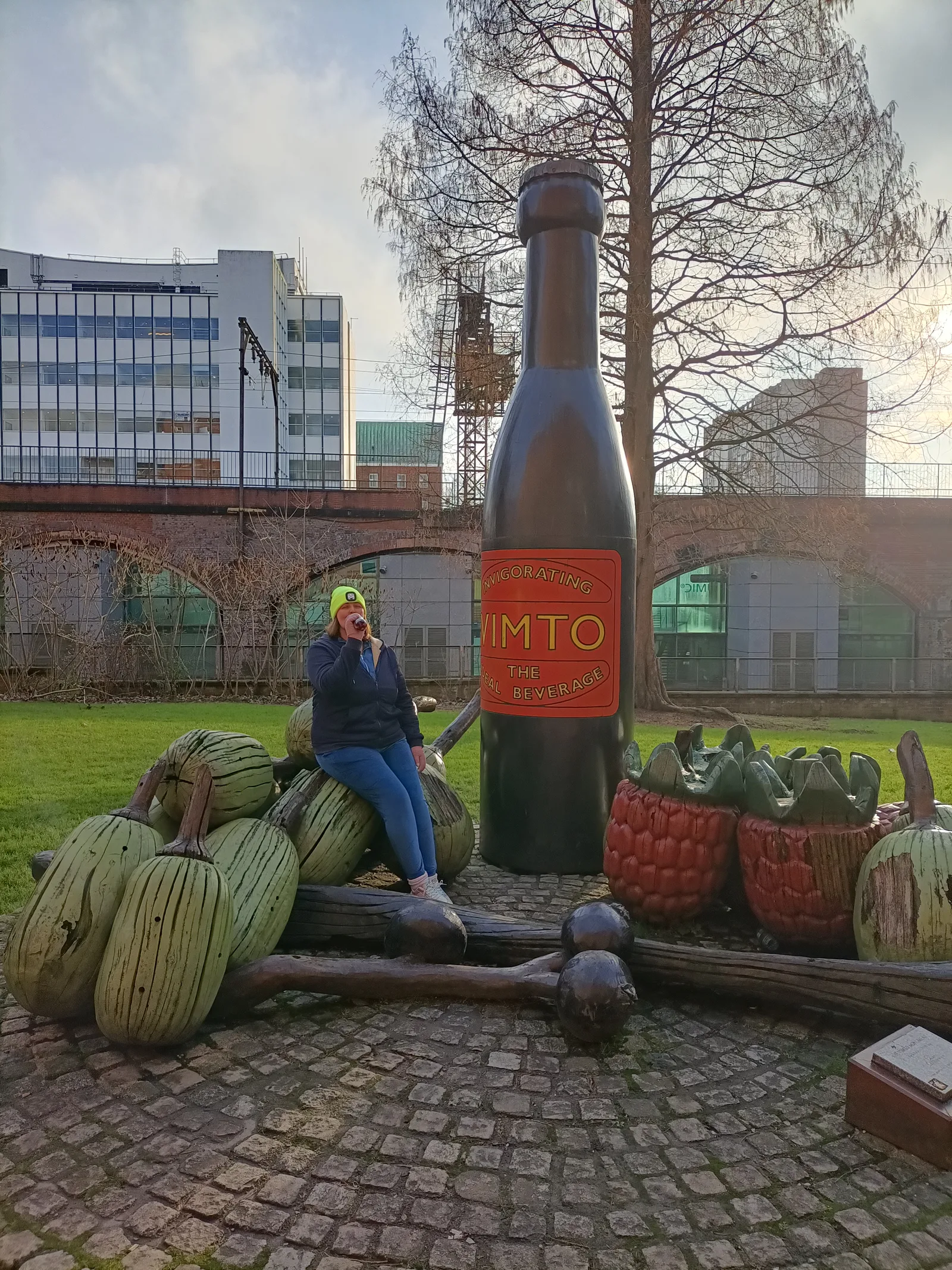 Main view at The Vimto Park Manchester — travel photo