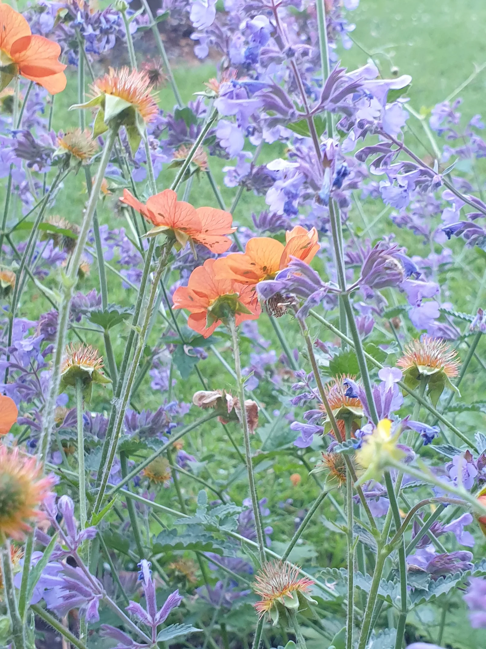 Atmosphere at Walkden Gardens Manchester — travel photo