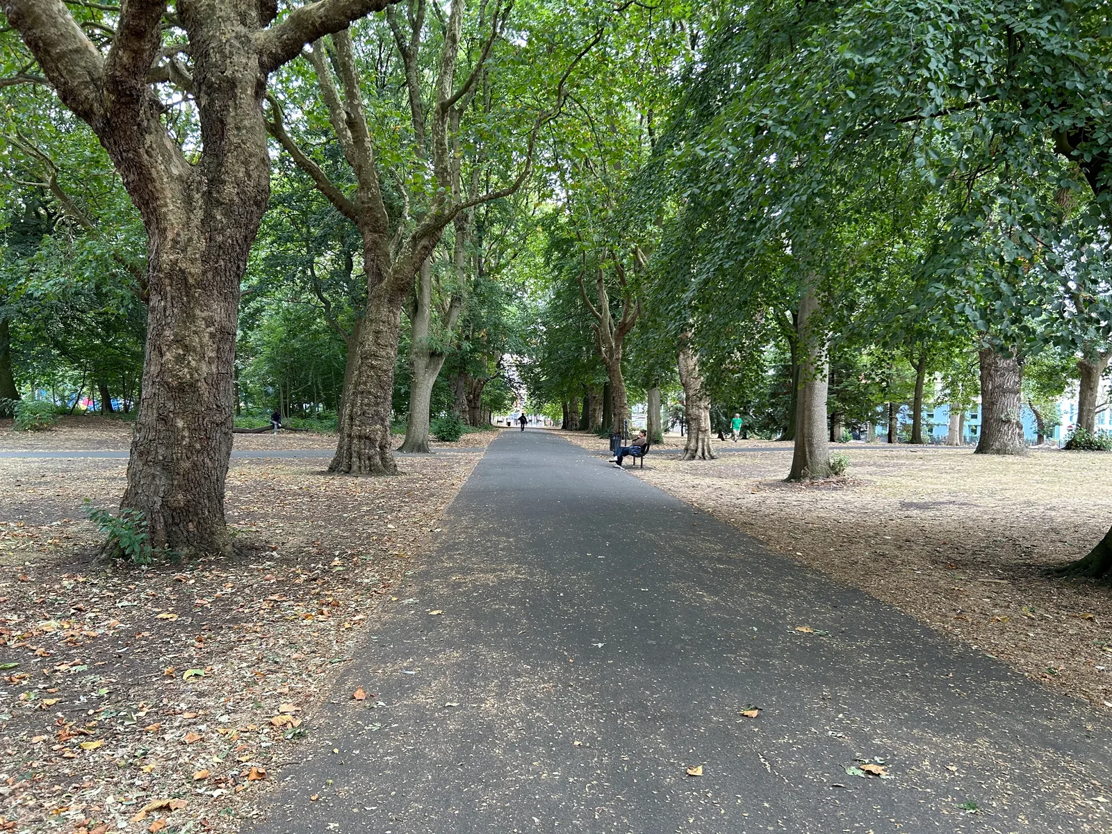 Main view at Whitworth Park Manchester — travel photo