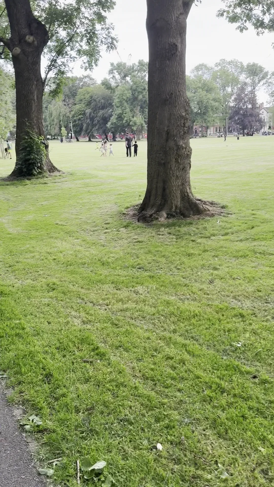 Atmosphere at Whitworth Park Manchester — travel photo