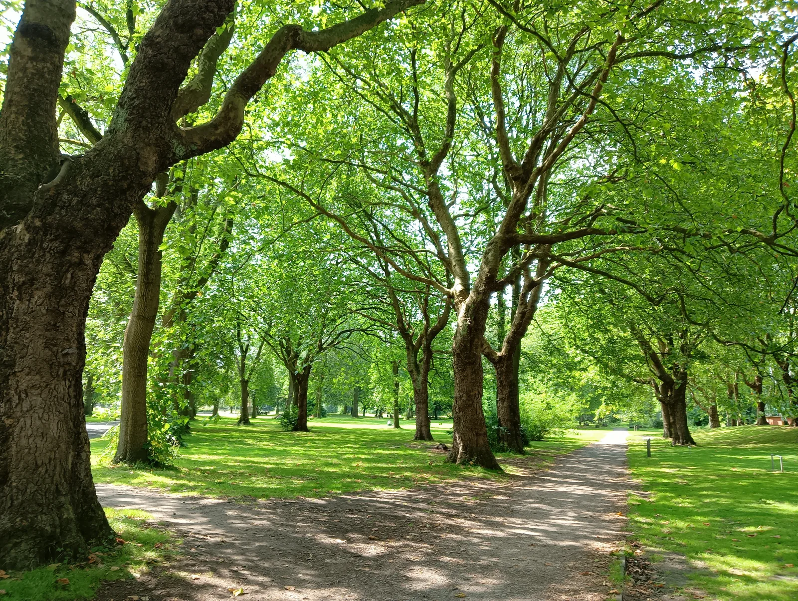 Whitworth Park