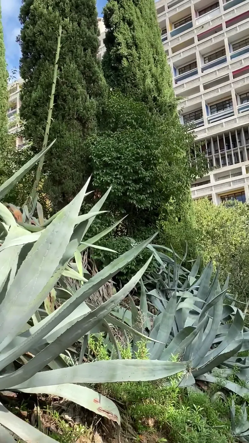 Le Corbusier Hotel
