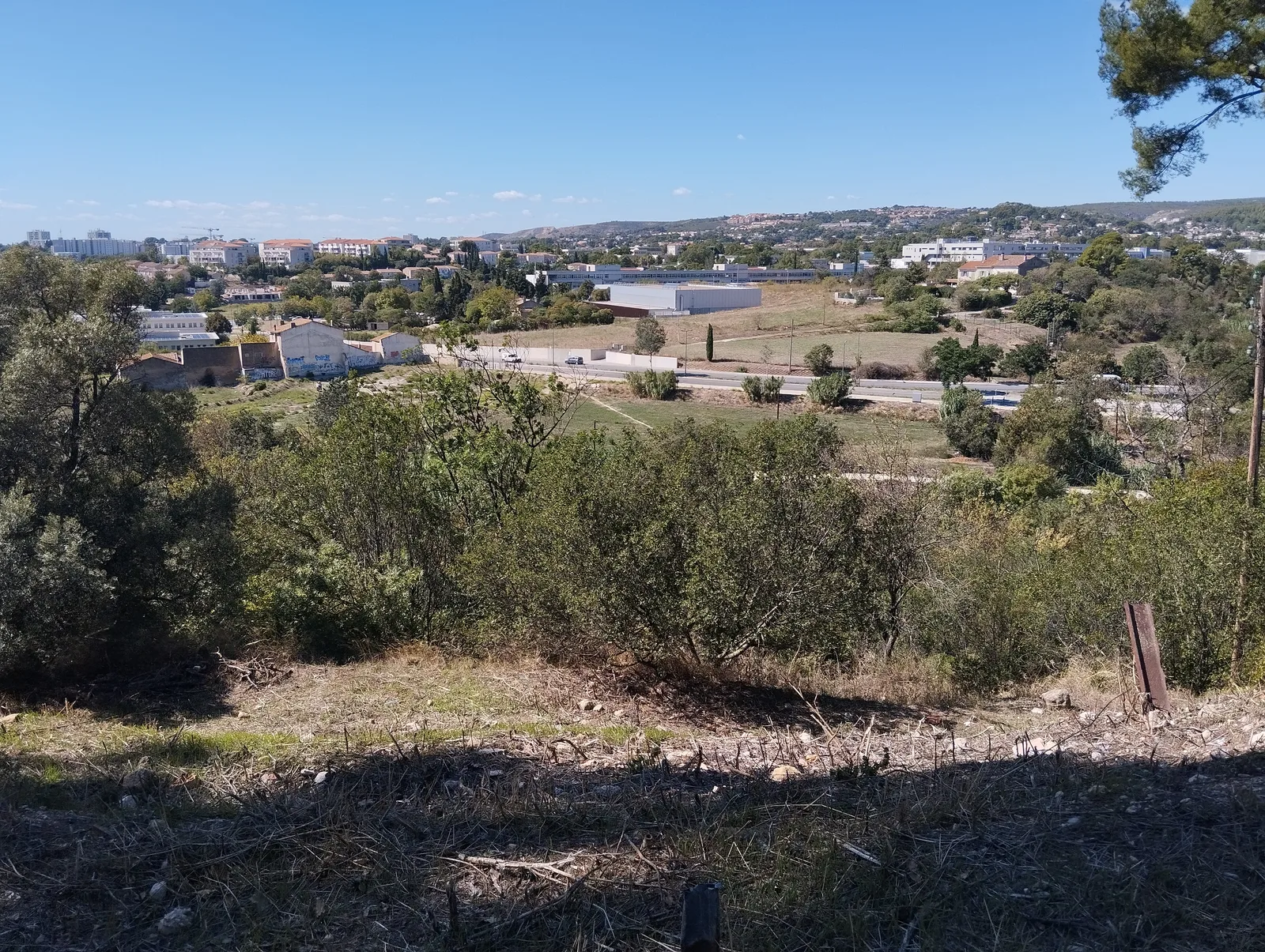 Details at Parc Athéna Marseille — travel photo