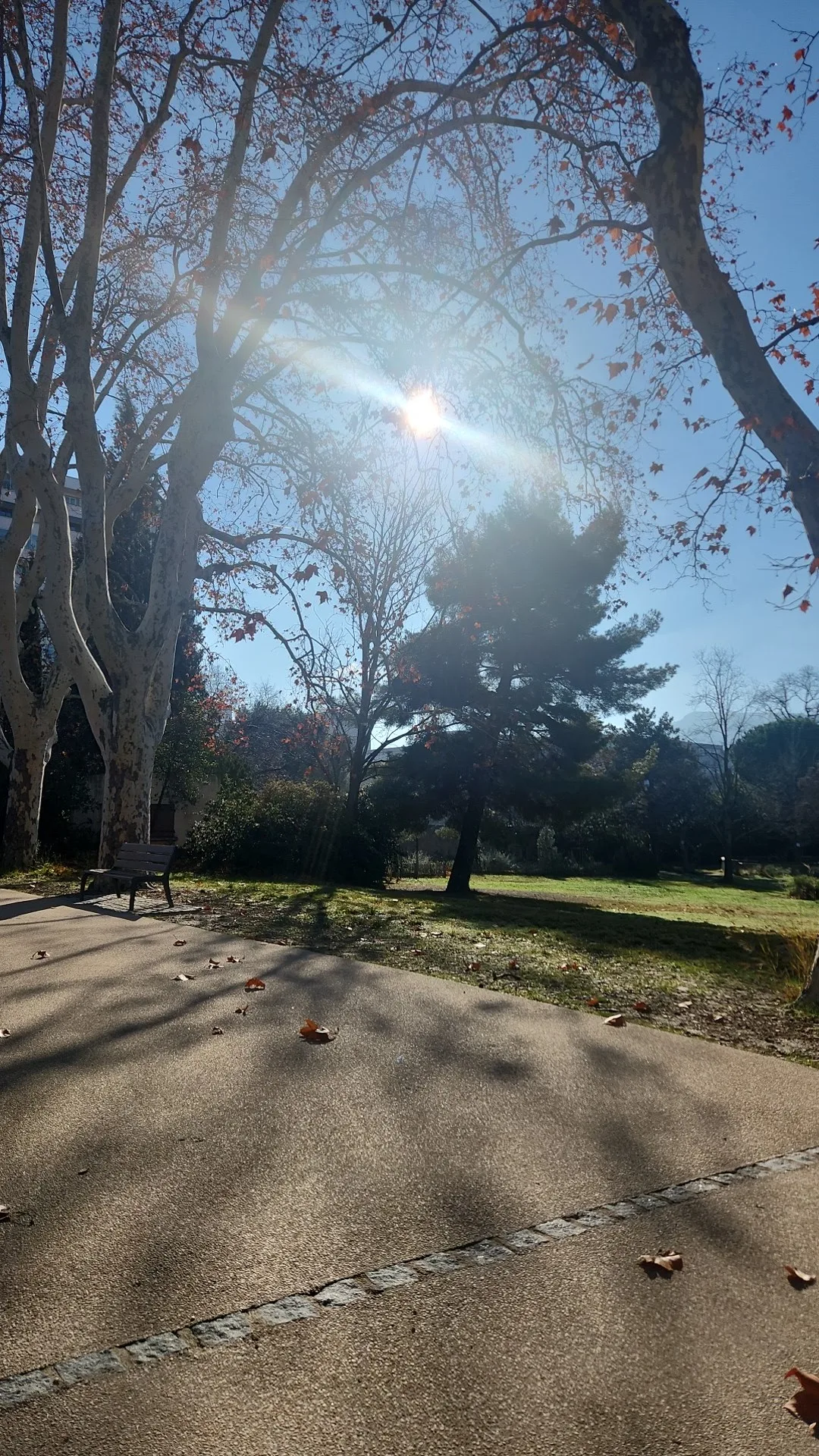 Interior at Parc Bortoli Marseille — travel photo