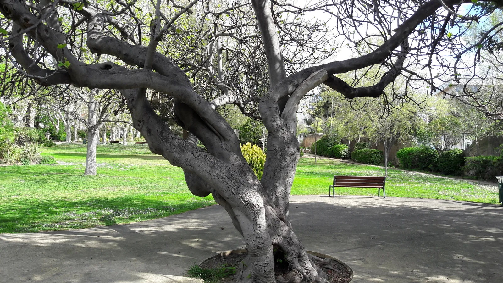 Parc Bortoli — budget guide Marseille