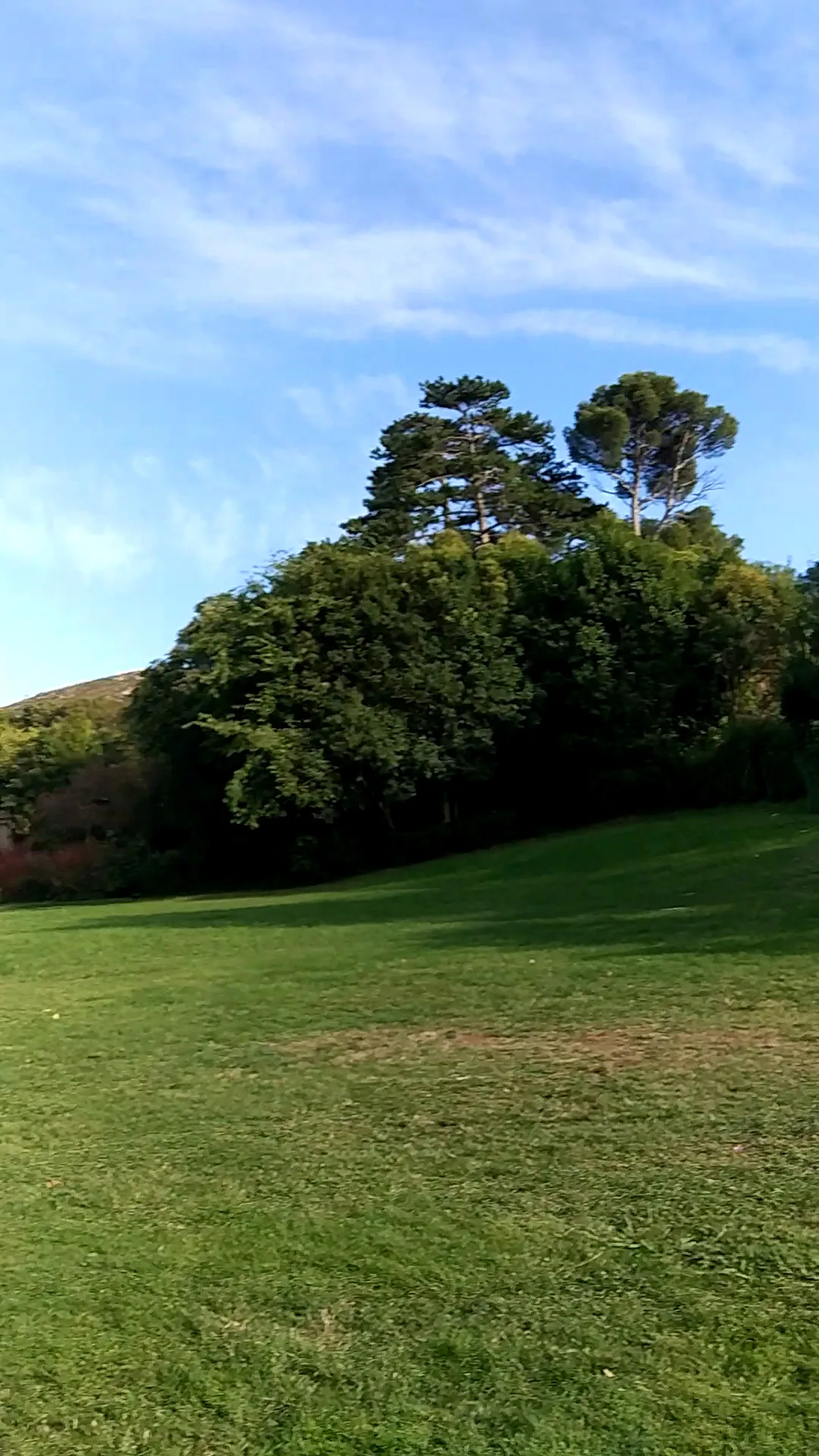 Details at Parc de la Maison Blanche Marseille — travel photo