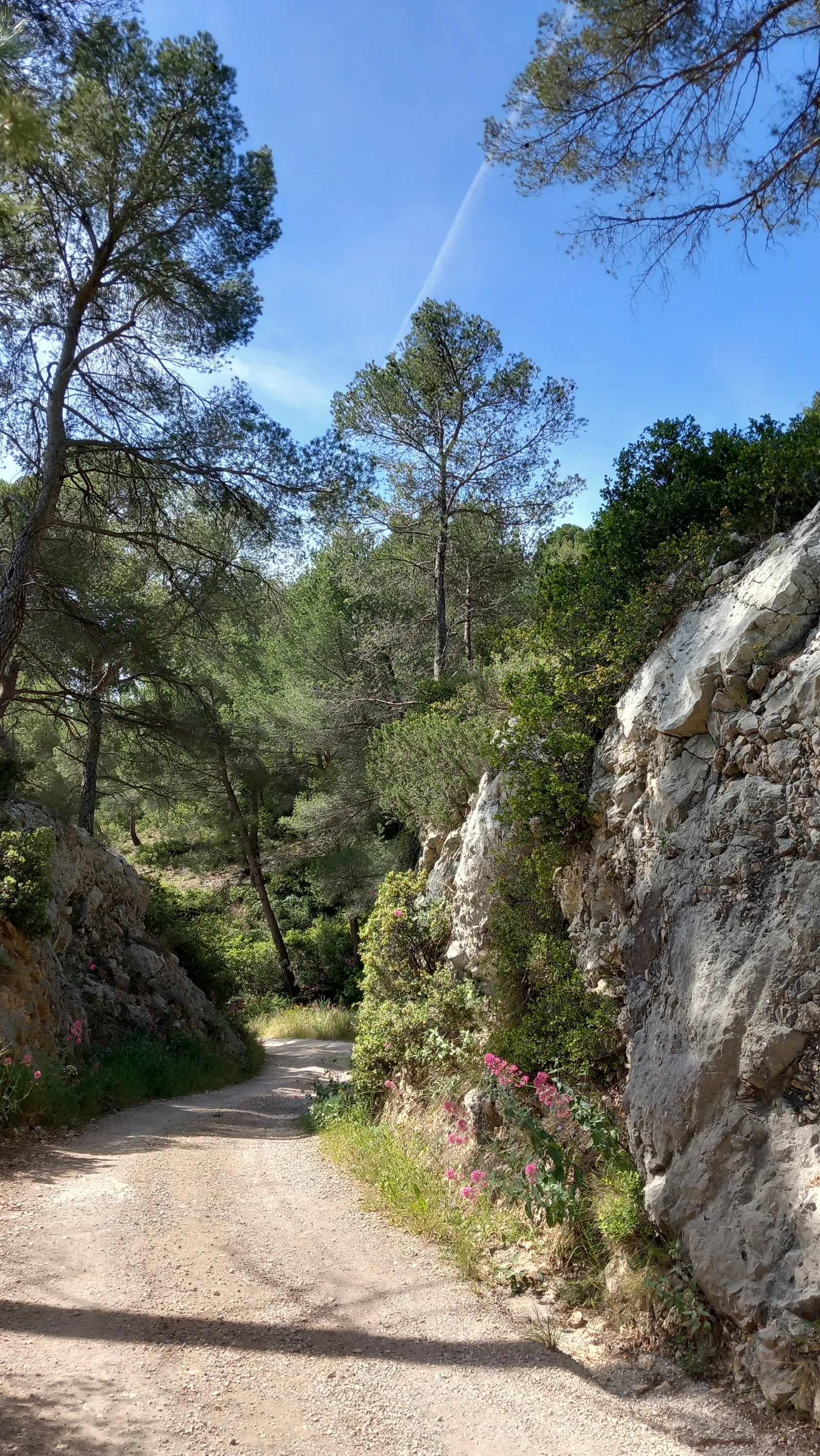 Parc de la Negre — romantic guide Marseille