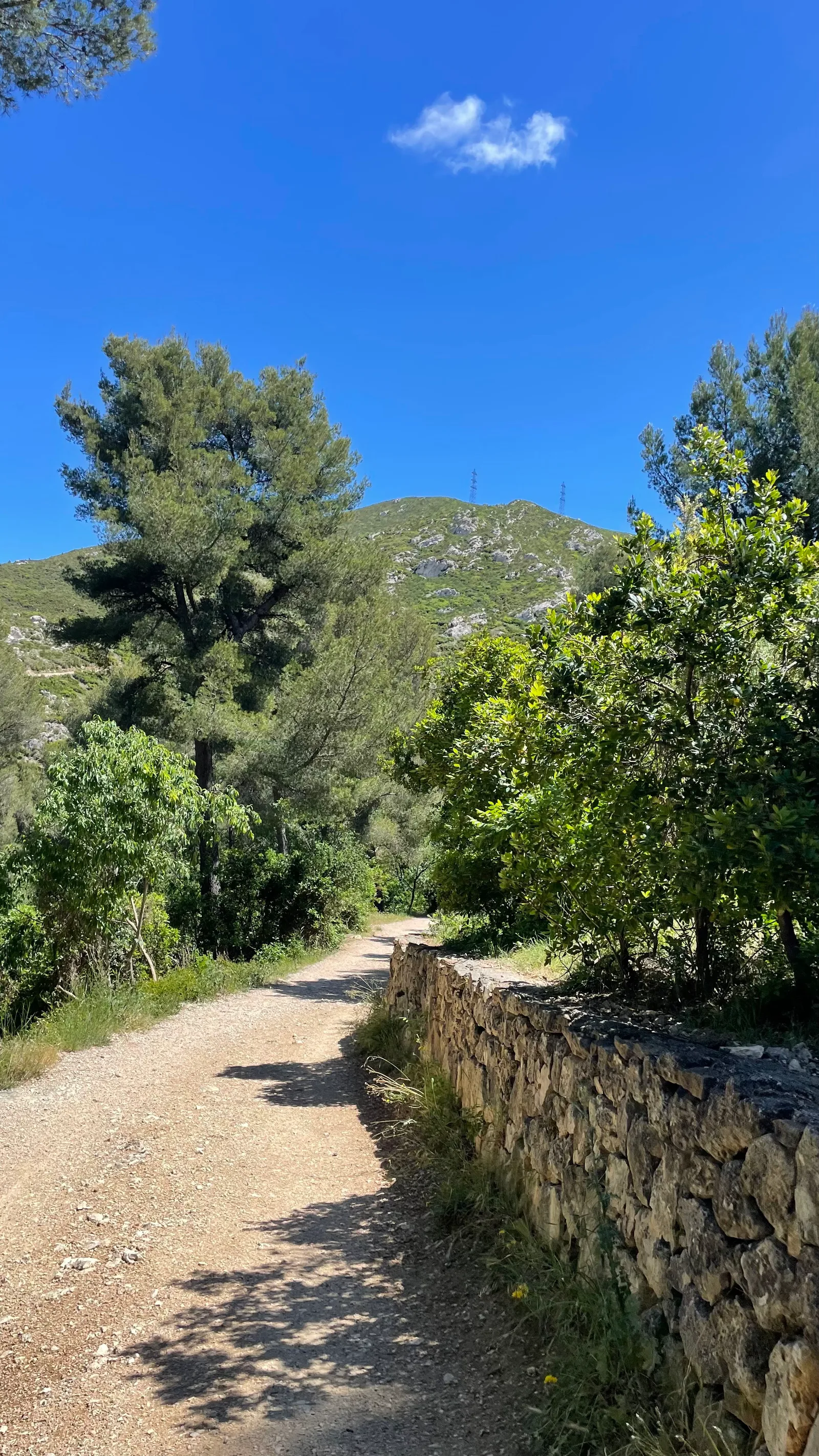 Details at Parc des Bruyères Marseille — travel photo