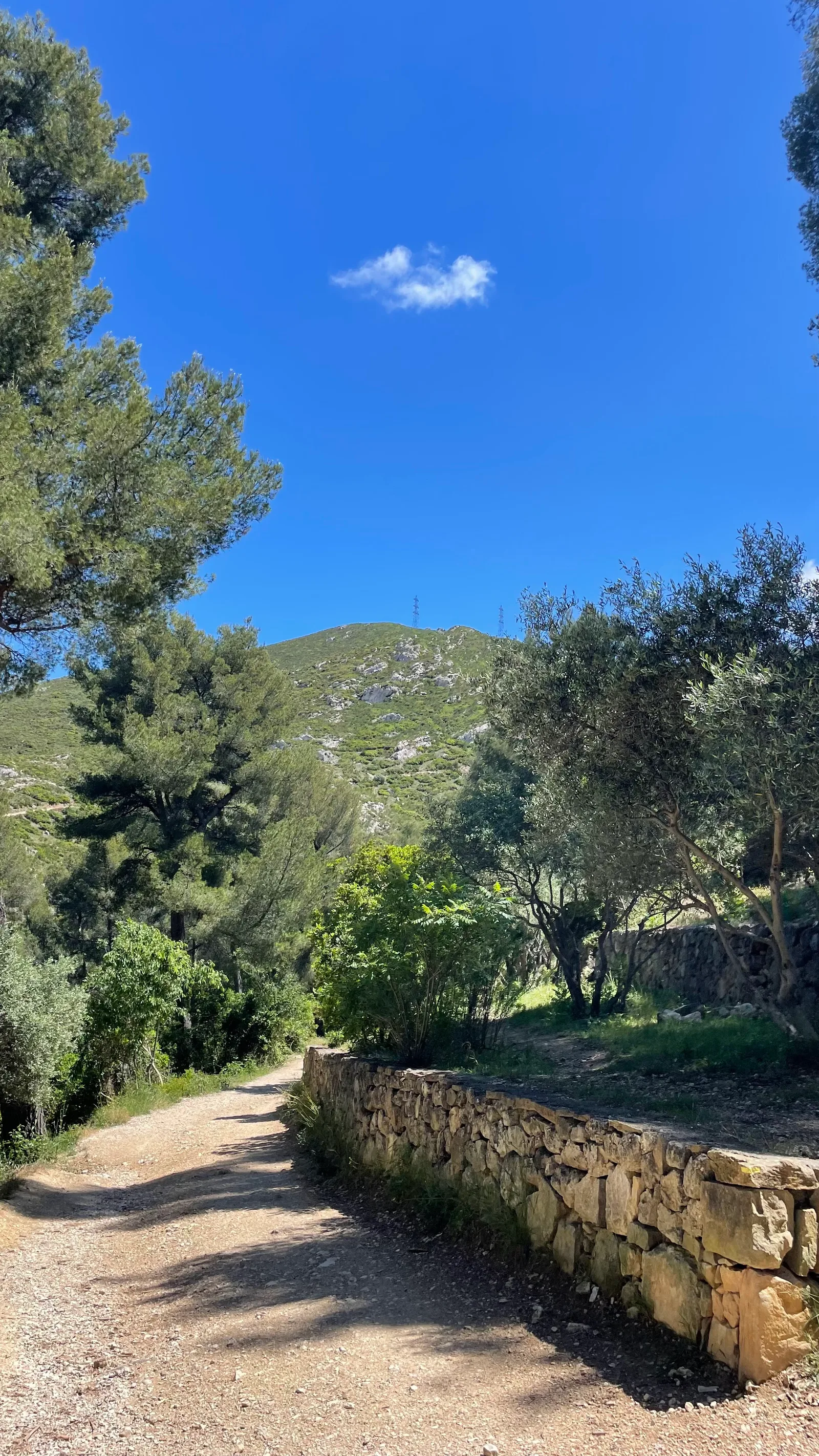 Atmosphere at Parc des Bruyères Marseille — travel photo