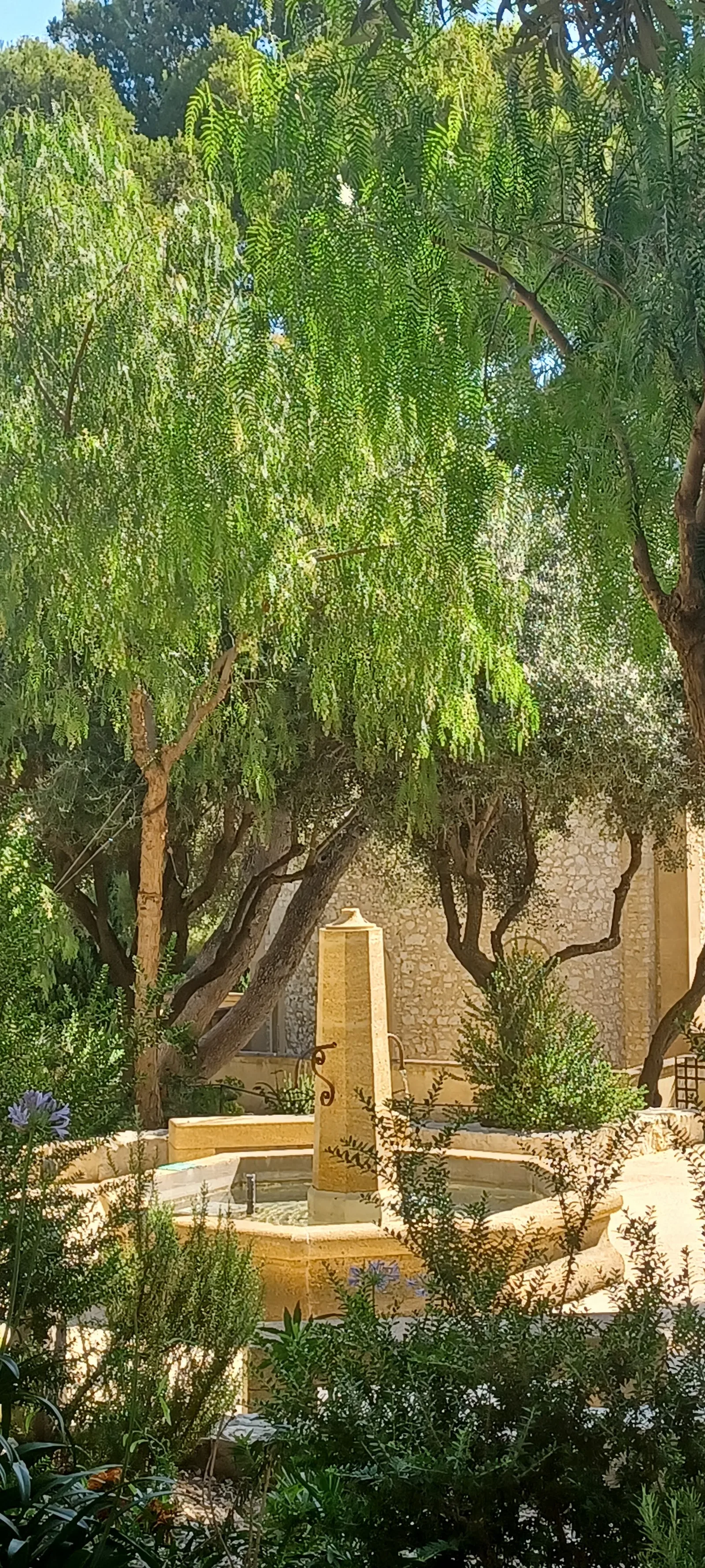 Details at Parc des Soeurs Franciscaines Missionnaires de Marie Marseille — travel photo