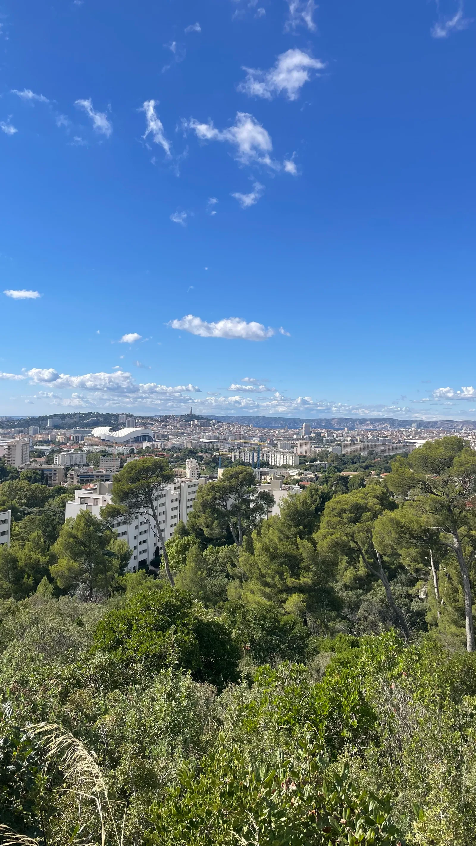 Details at Parc public de la campagne berger Marseille — travel photo