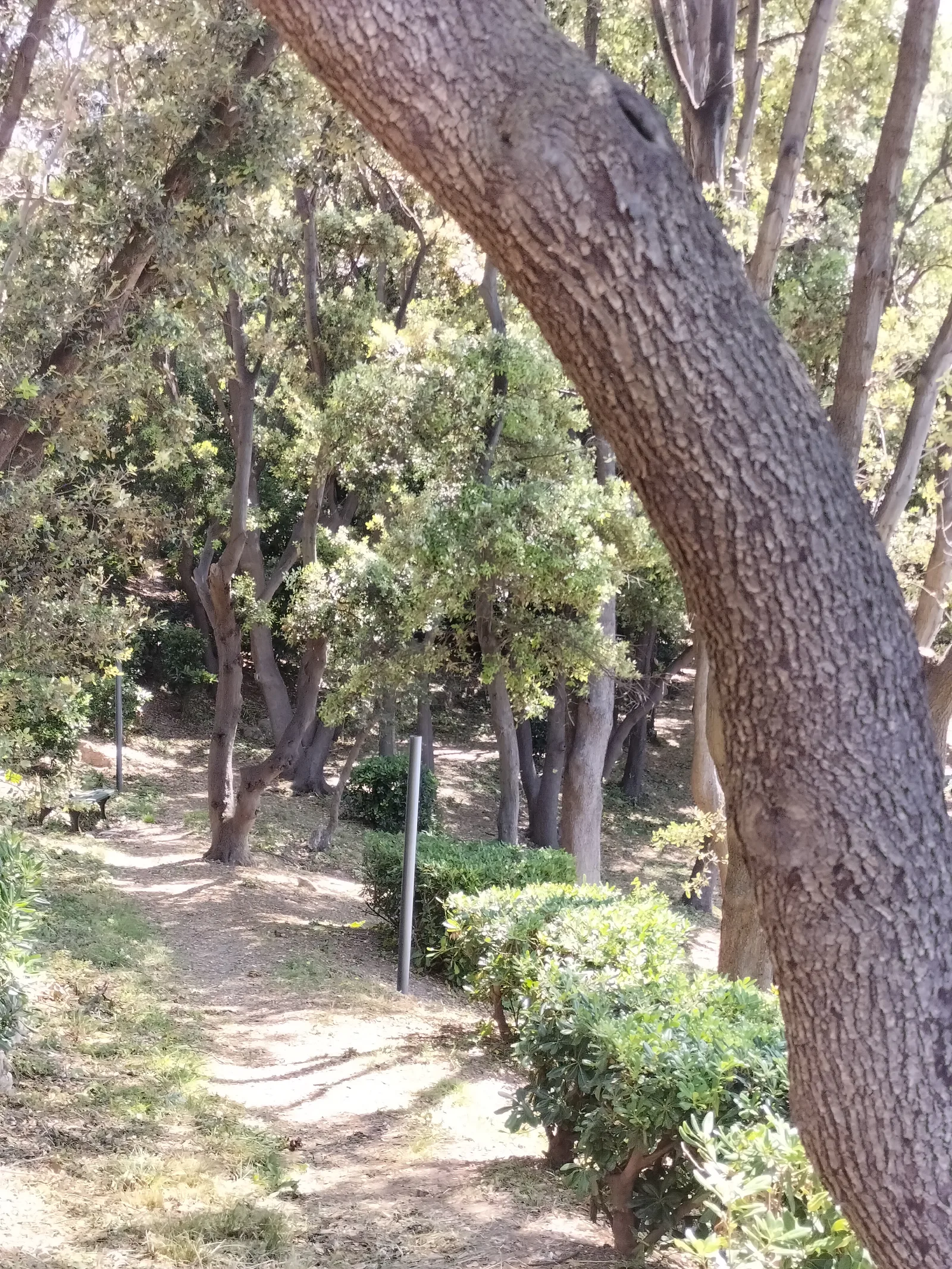 Details at Parc Valmer Marseille — travel photo