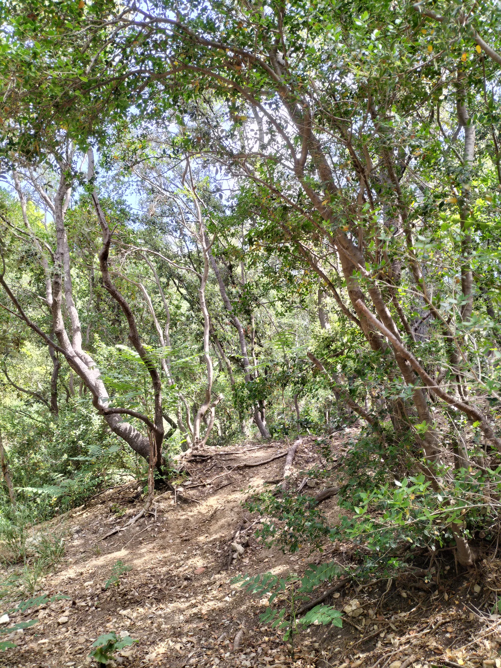 Atmosphere at Parc Valmer Marseille — travel photo