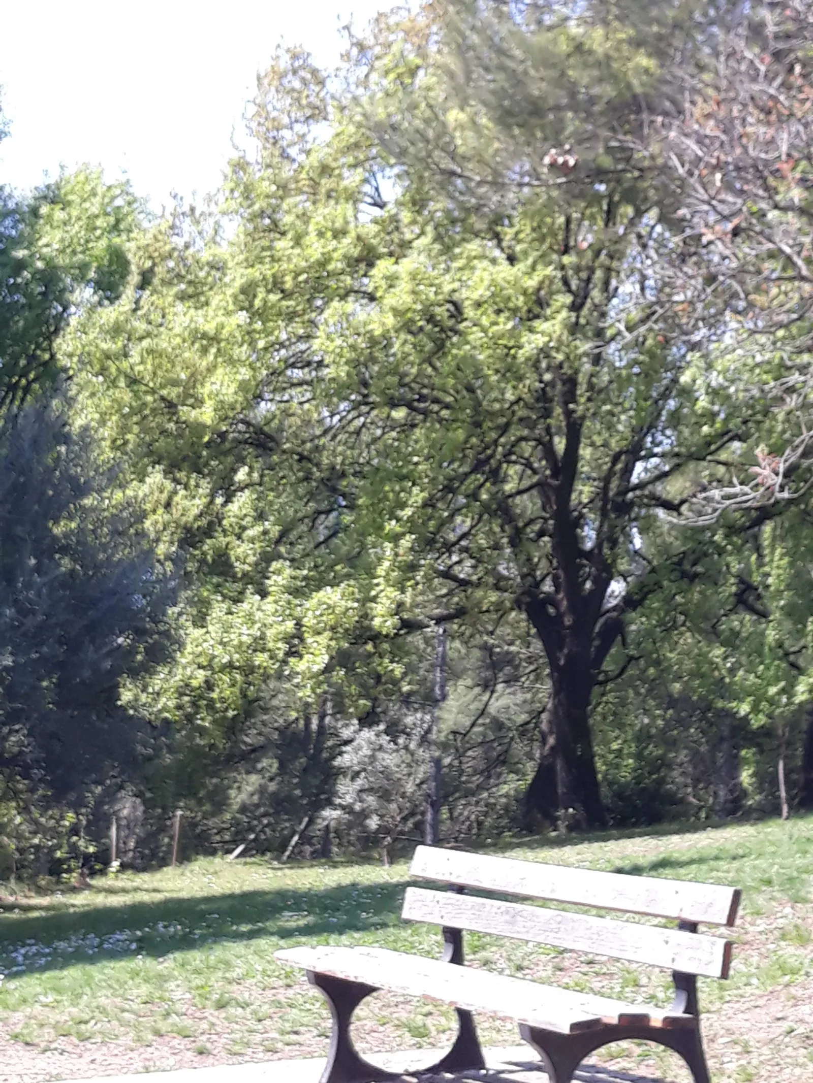 Details at Park of La Mirabelle Marseille — travel photo