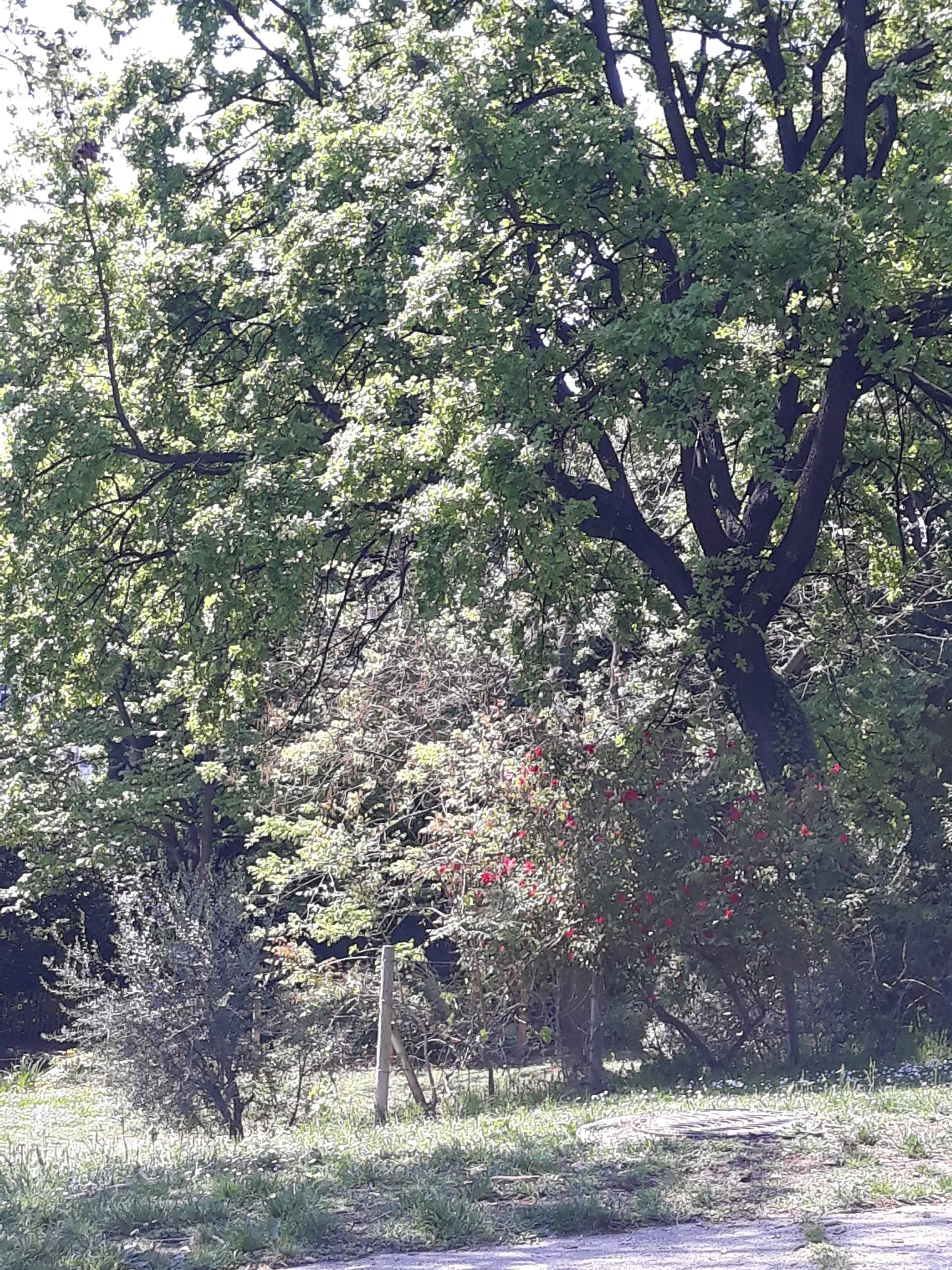 Atmosphere at Park of La Mirabelle Marseille — travel photo