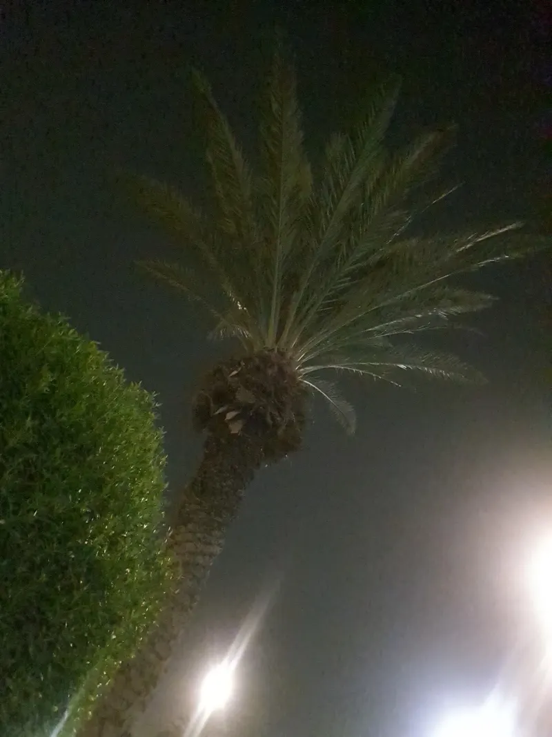 Al Adel Park