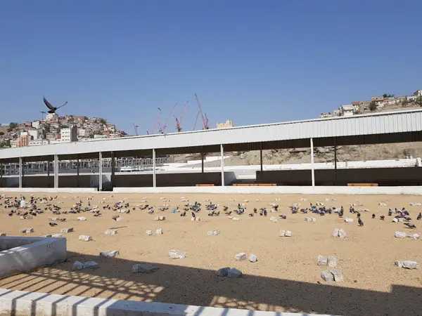 Atmosphere at Al Muallaa Cemetery Mecca — travel photo