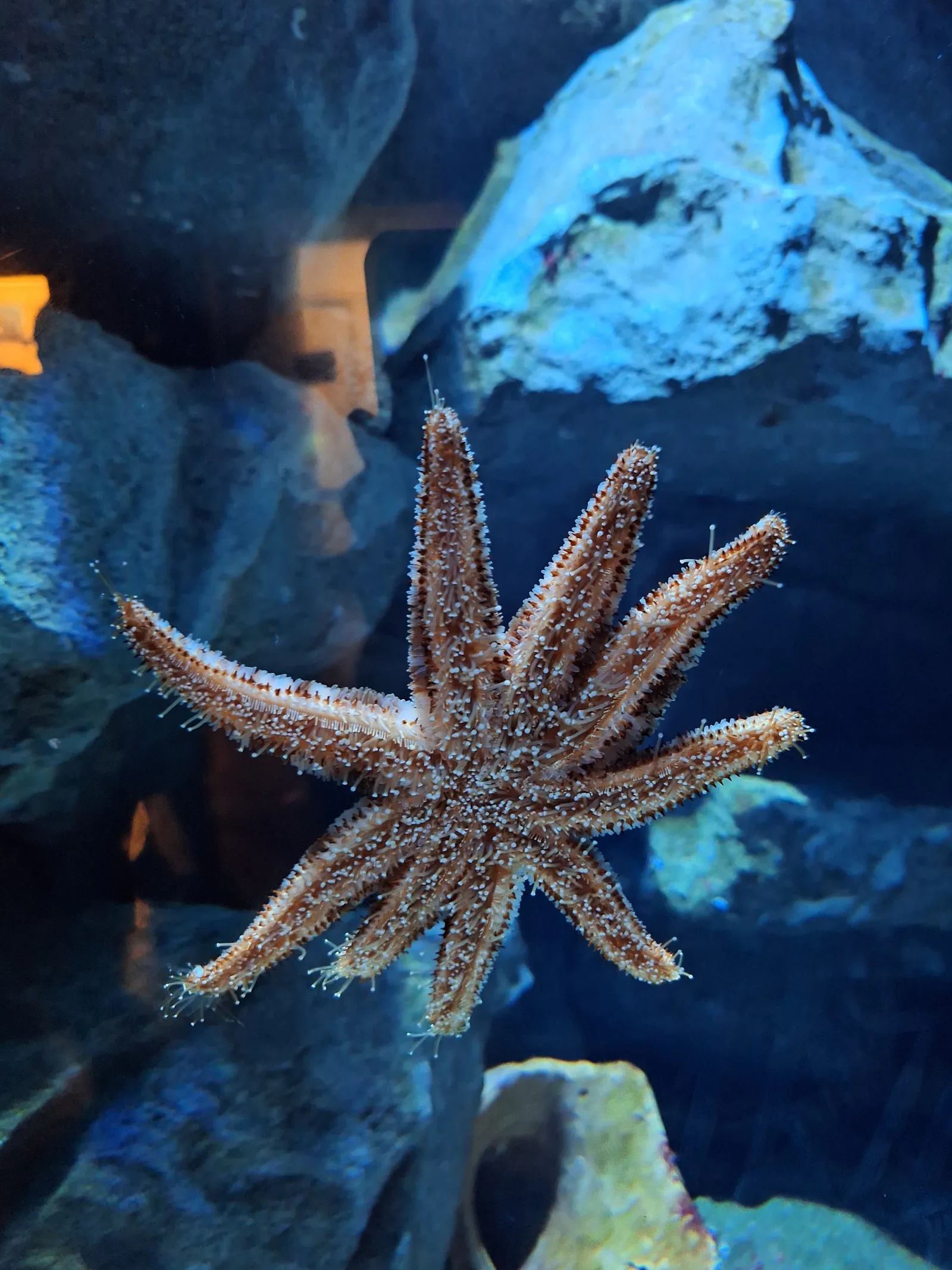 Details at Acquario Civico e Stazione Idrobiologica di Milano Milan — travel photo