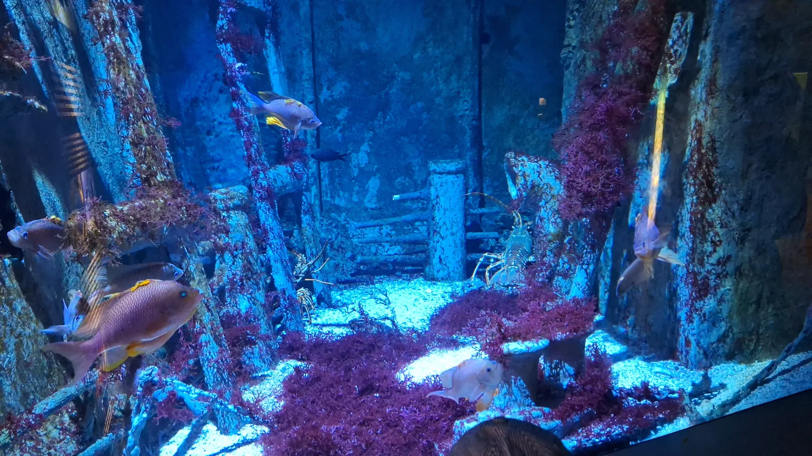 Atmosphere at Acquario Civico e Stazione Idrobiologica di Milano Milan — travel photo