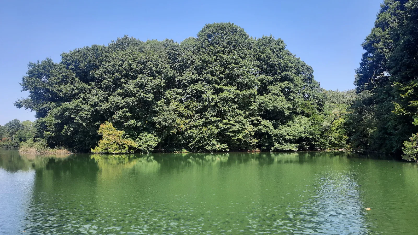 Main view at Boscoincittà Milan — travel photo