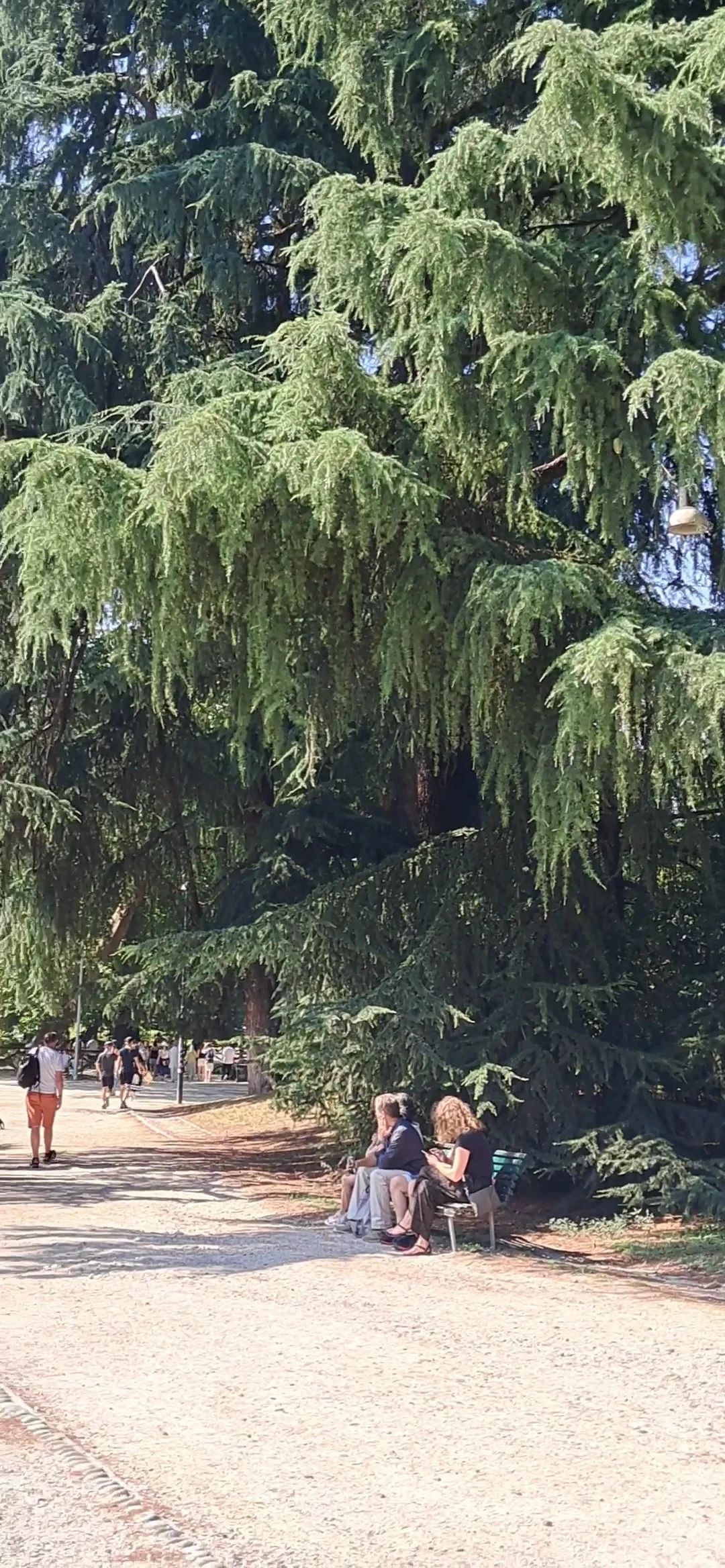 Main view at Bridge of the Little Mermaids Milan — travel photo