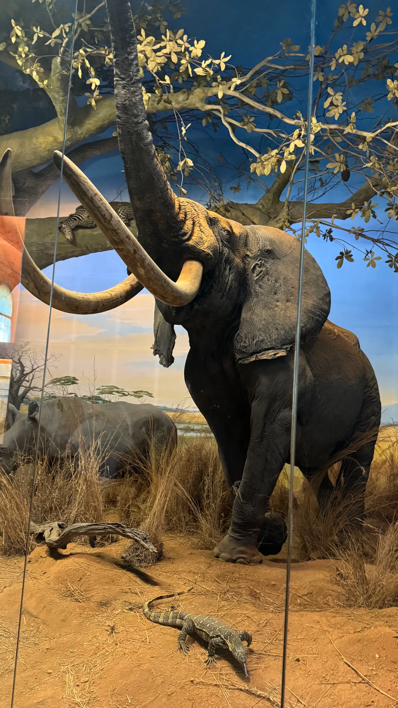 Main view at Milan Natural History Museum Milan — travel photo