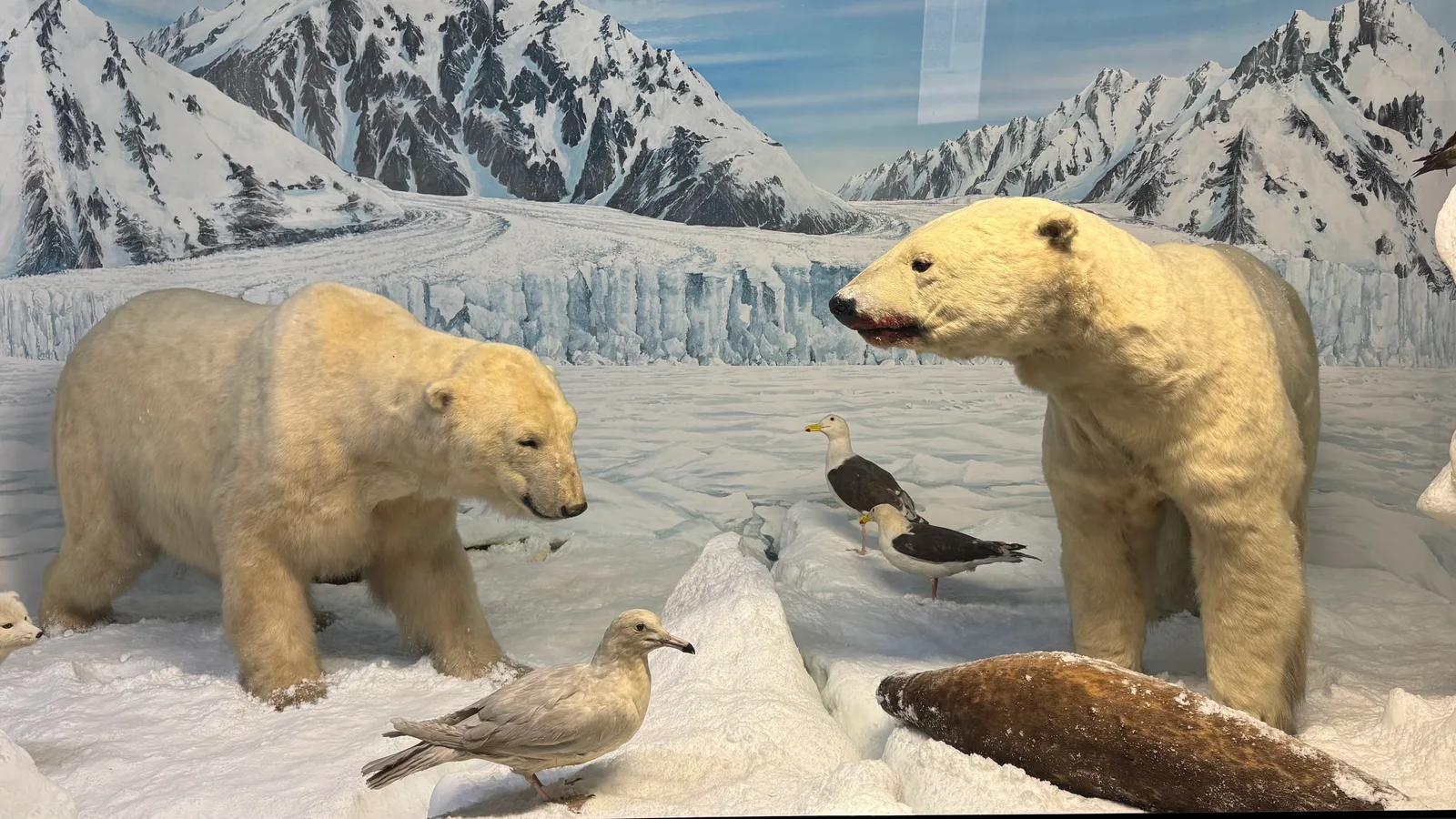 Details at Milan Natural History Museum Milan — travel photo