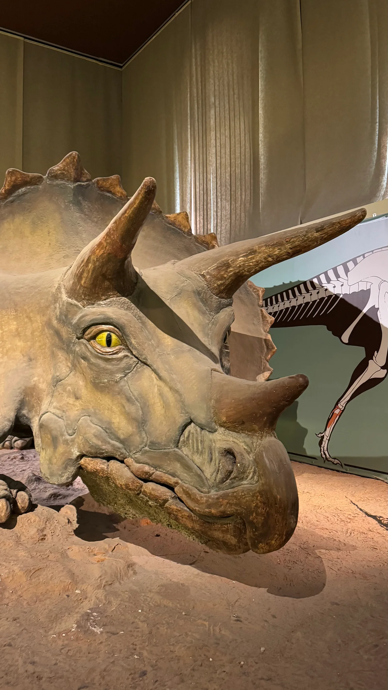 Atmosphere at Milan Natural History Museum Milan — travel photo