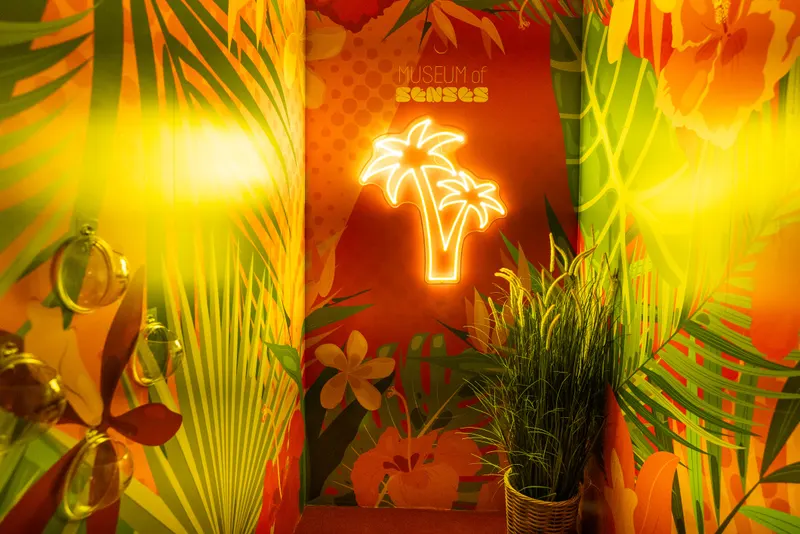 Museum of Senses Milano — Museum in Milan