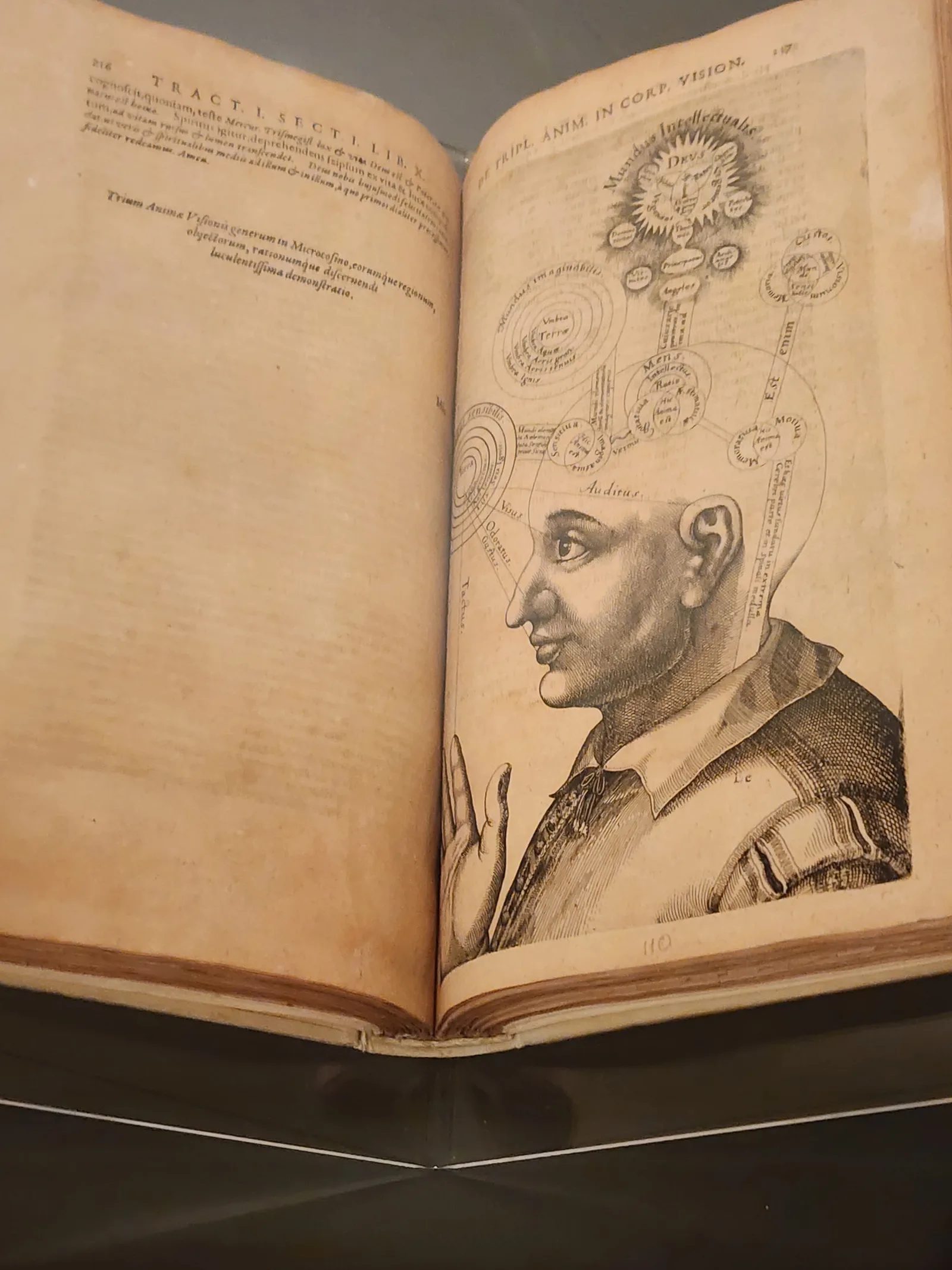 Atmosphere at Palazzo Morando Milan — travel photo