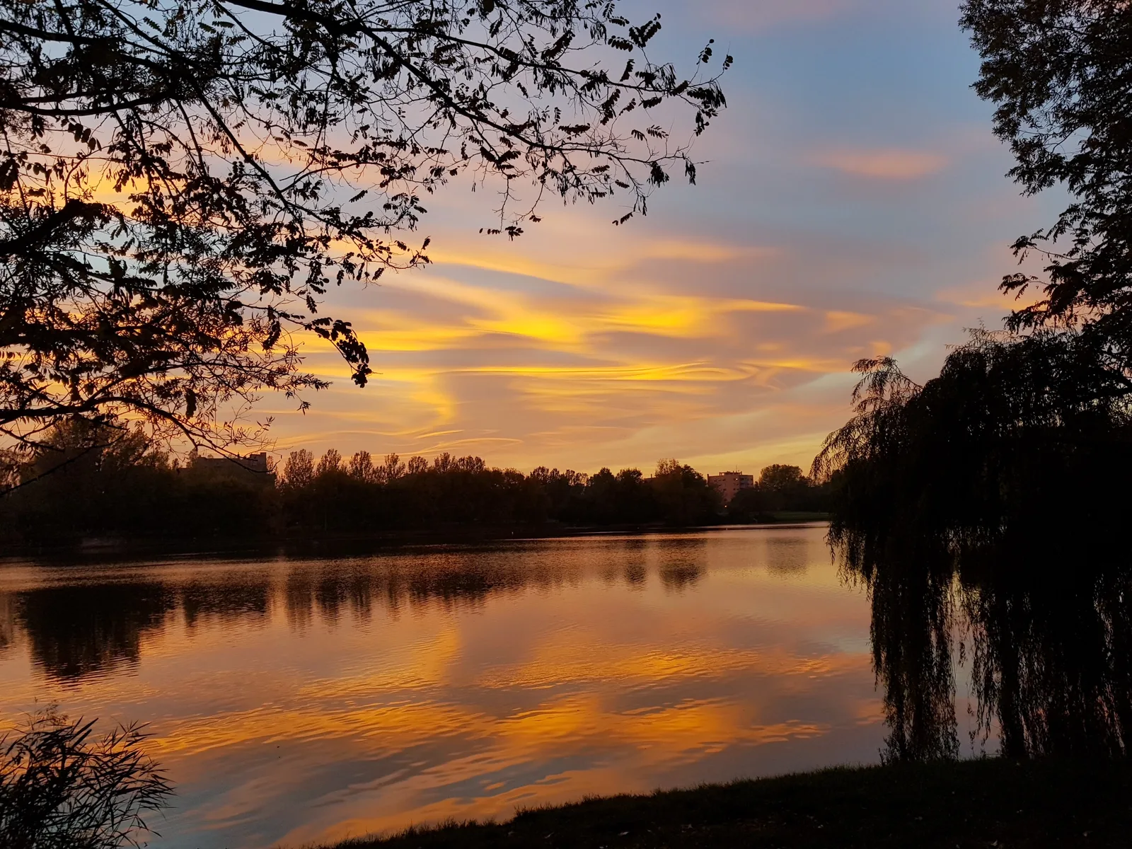 Main view at Parco Agricolo Sud Milano - Uffici Milan — travel photo