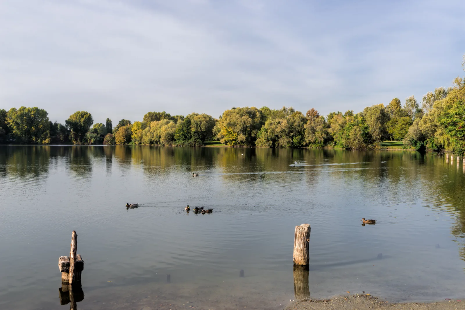 Parco Agricolo Sud Milano - Uffici — budget guide Milan
