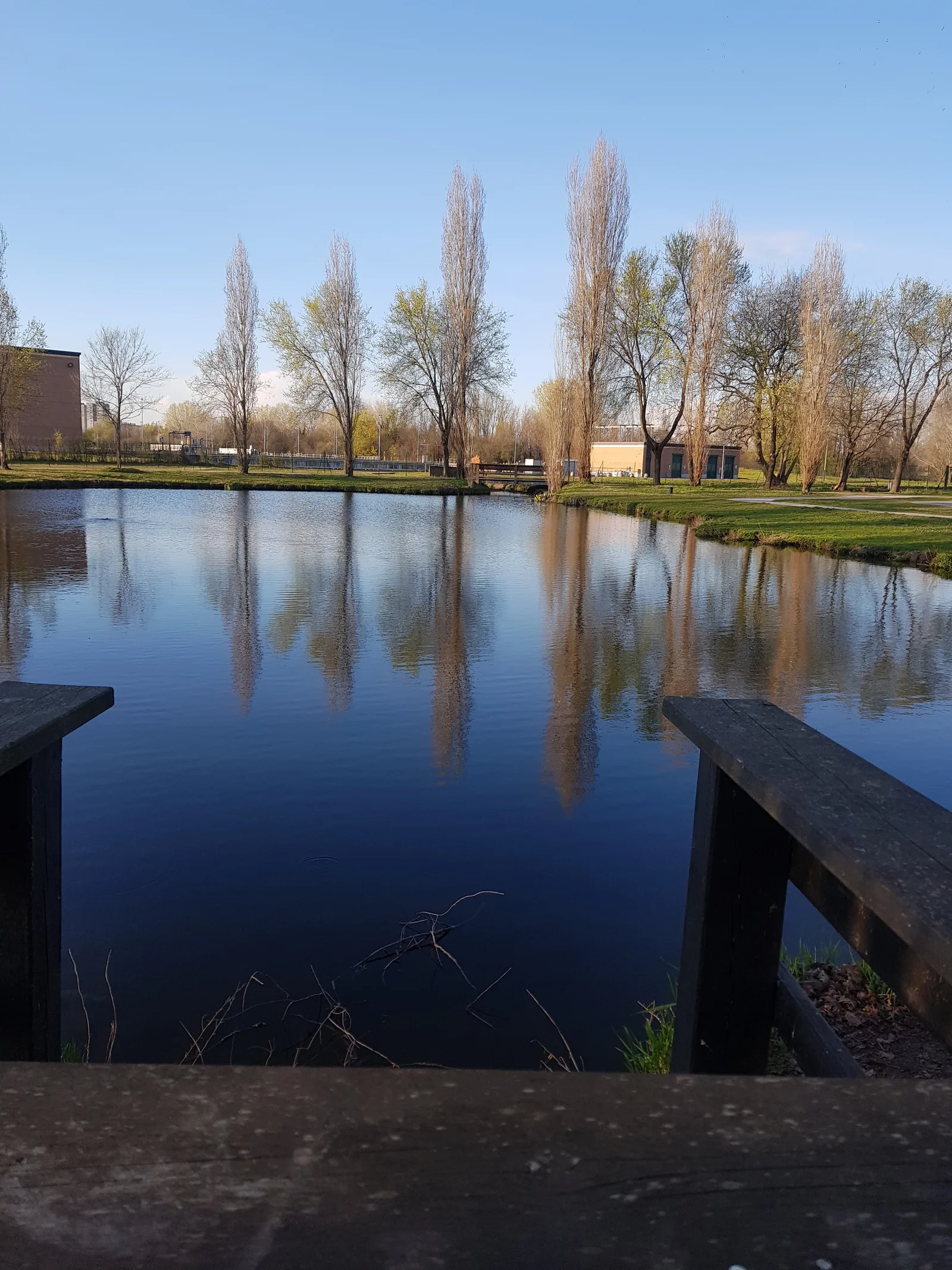 Details at Parco della Vettabbia Milan — travel photo